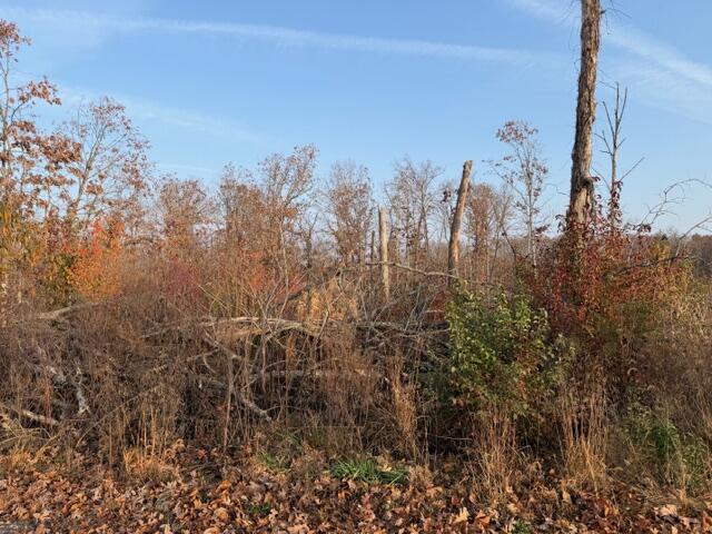 0000 Fox Cir Drive Property Photo 5