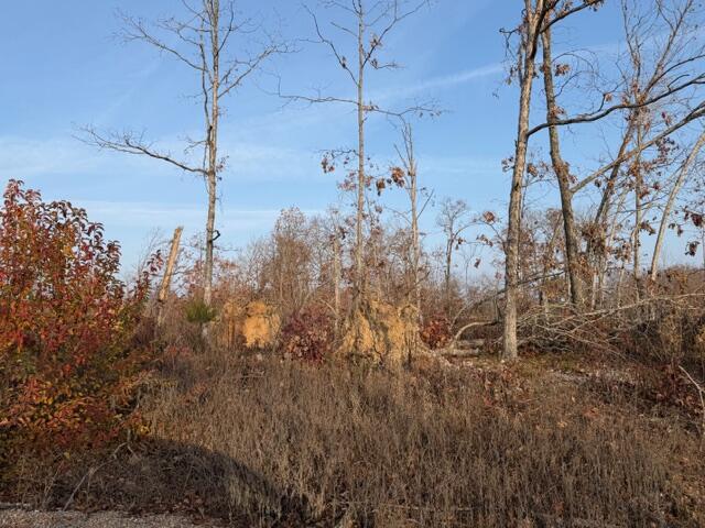 0000 Fox Cir Drive Property Photo 6