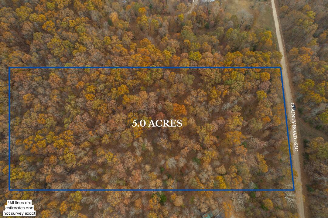 Lot 28 County Road 555 C Property Photo 3