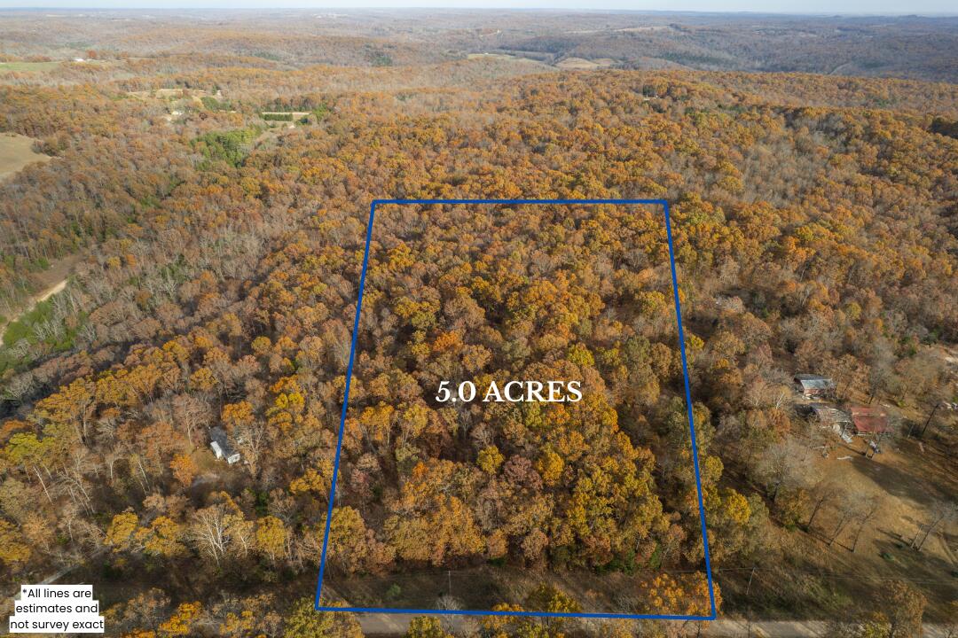 Lot 28 County Road 555 C Property Photo 4