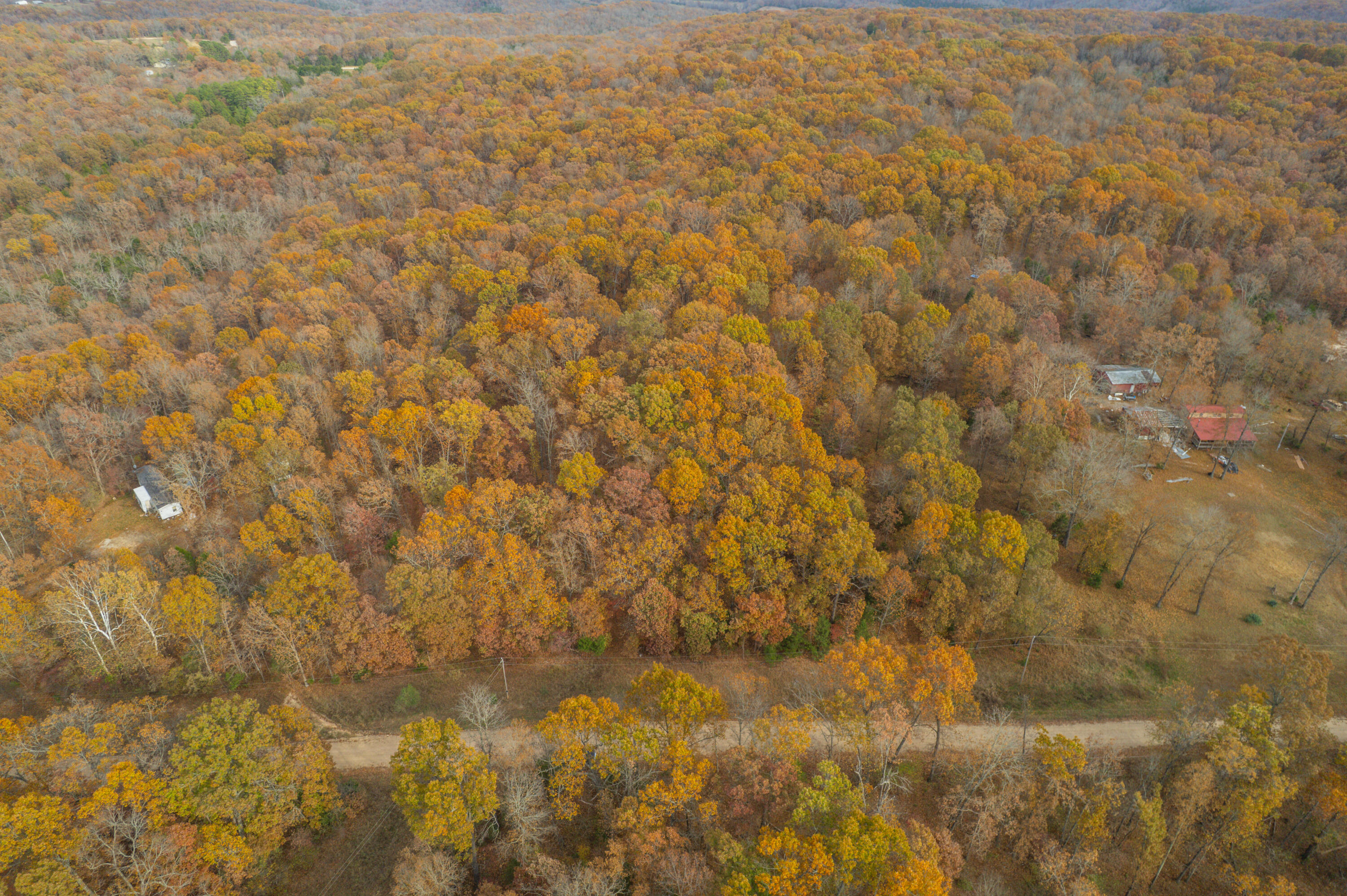 Lot 28 County Road 555 C Property Photo 5