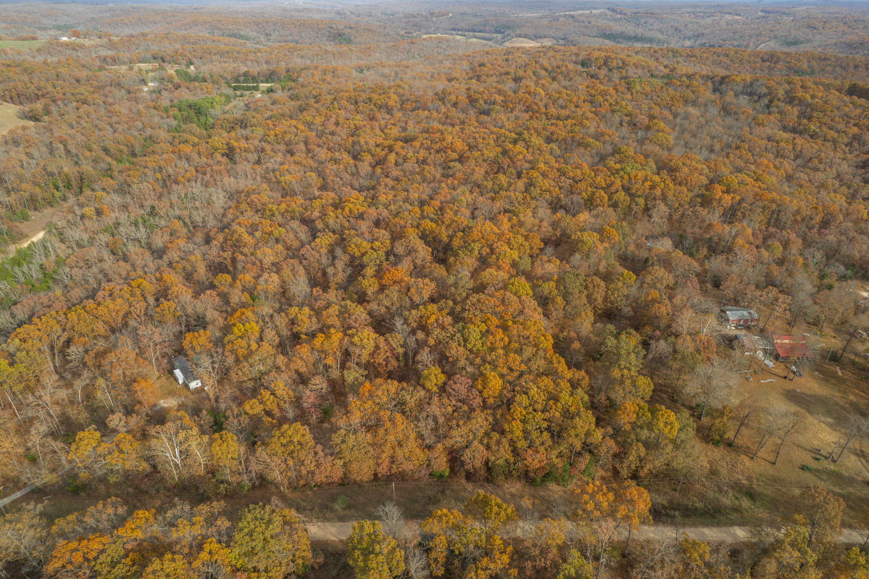 Lot 28 County Road 555 C Property Photo 11