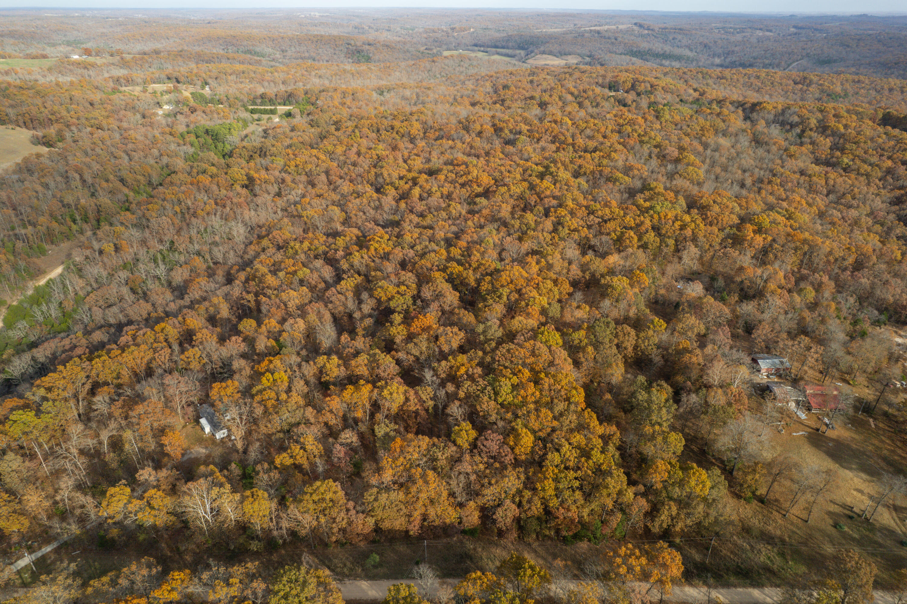 Lot 28 County Road 555 C Property Photo 12