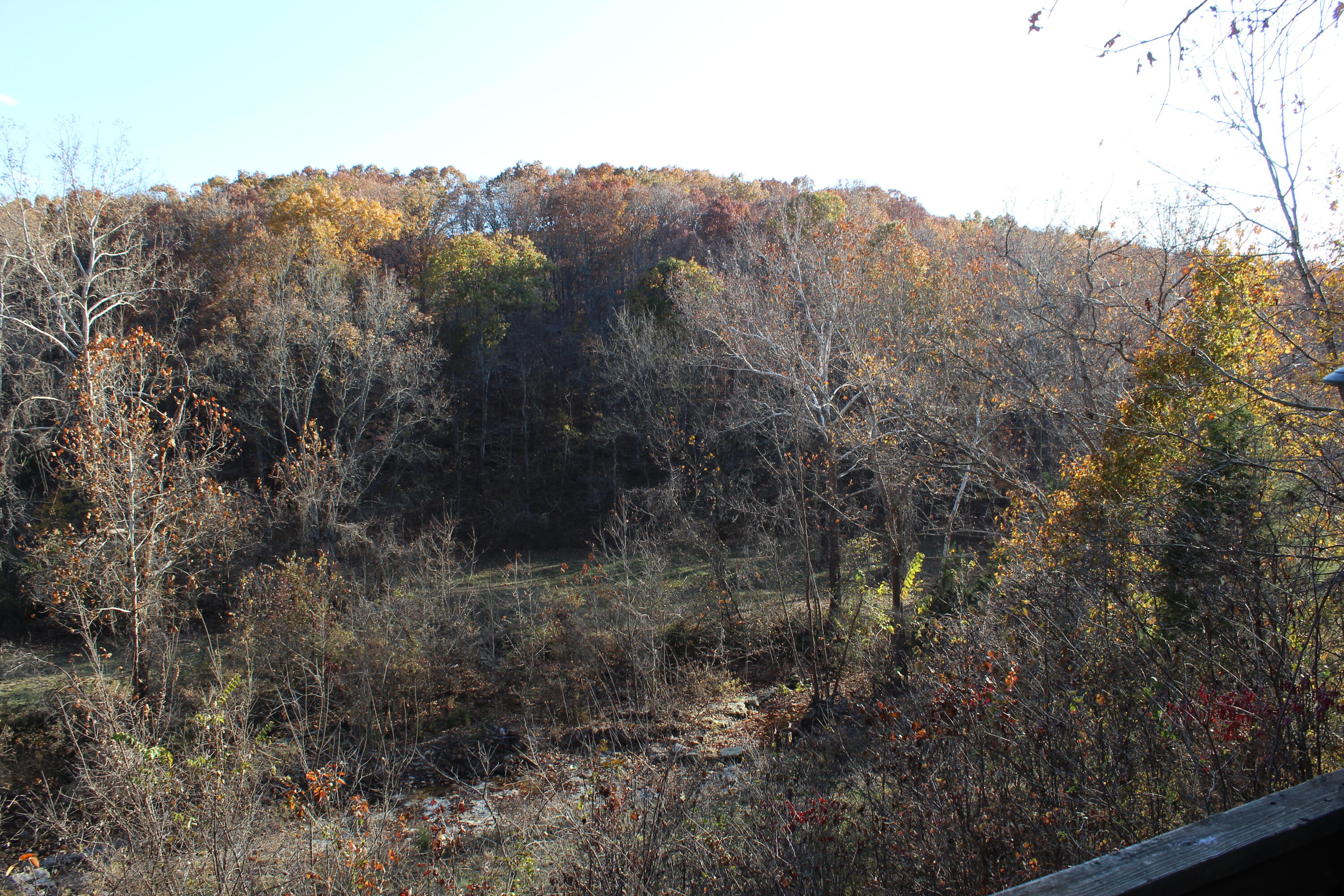 814 Lummis Lane Property Photo 13