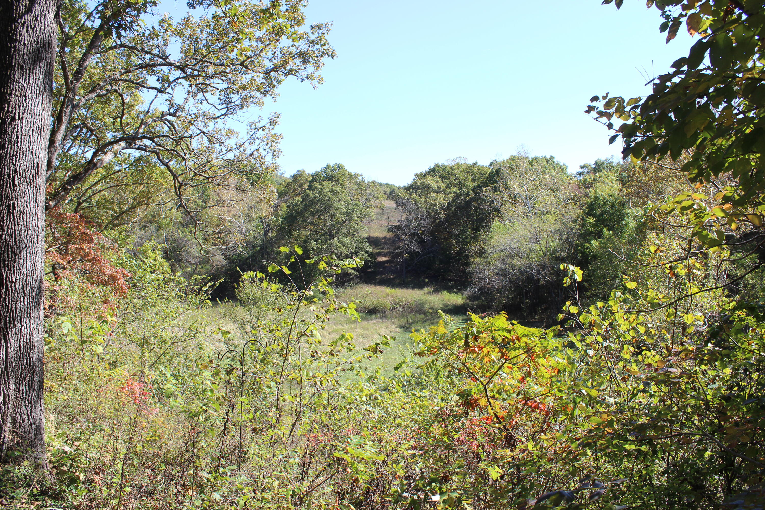 814 Lummis Lane Property Photo 15