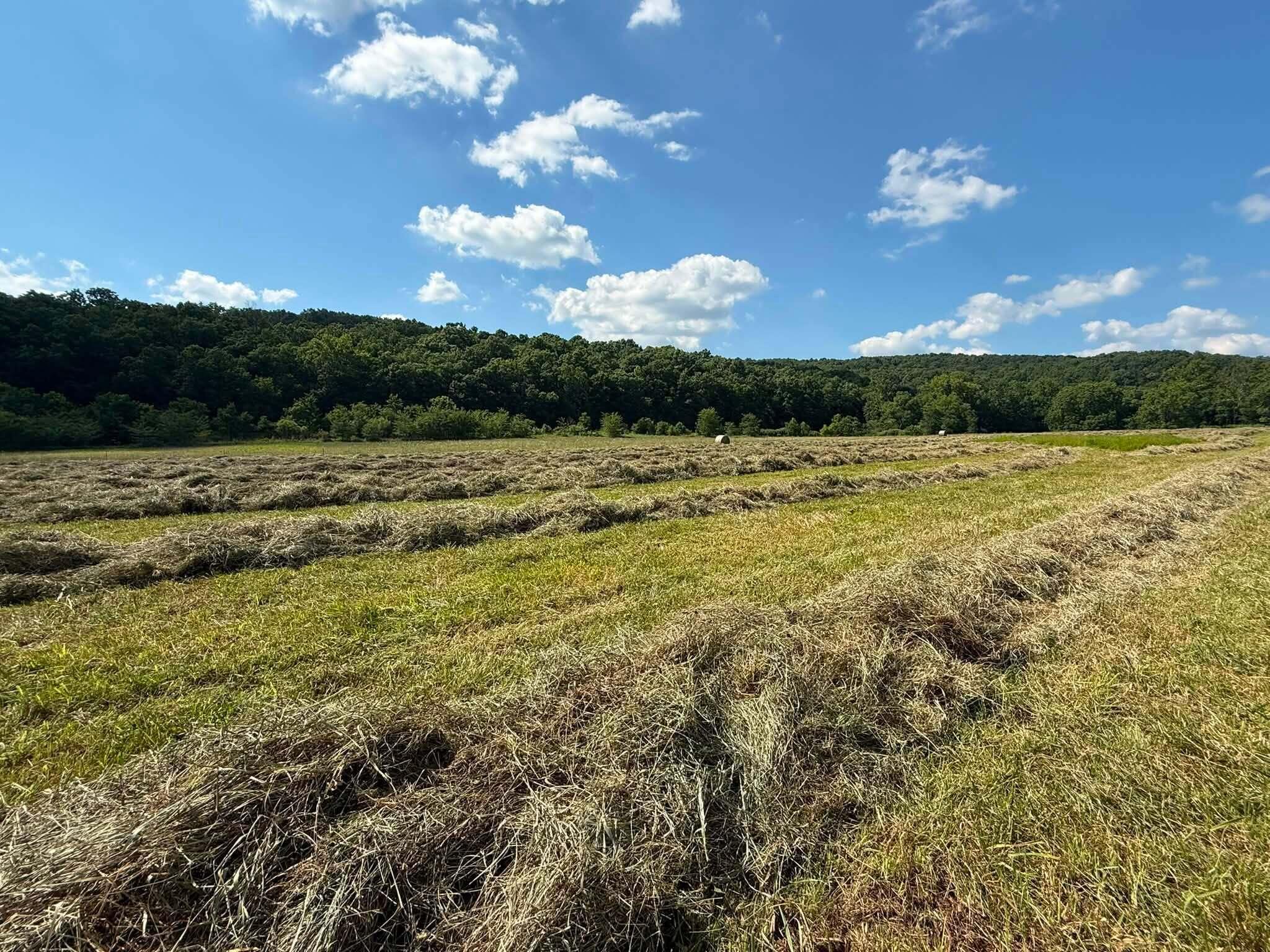 10790 Z Highway Property Photo 4