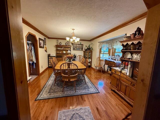 10790 Z Highway Property Photo 22