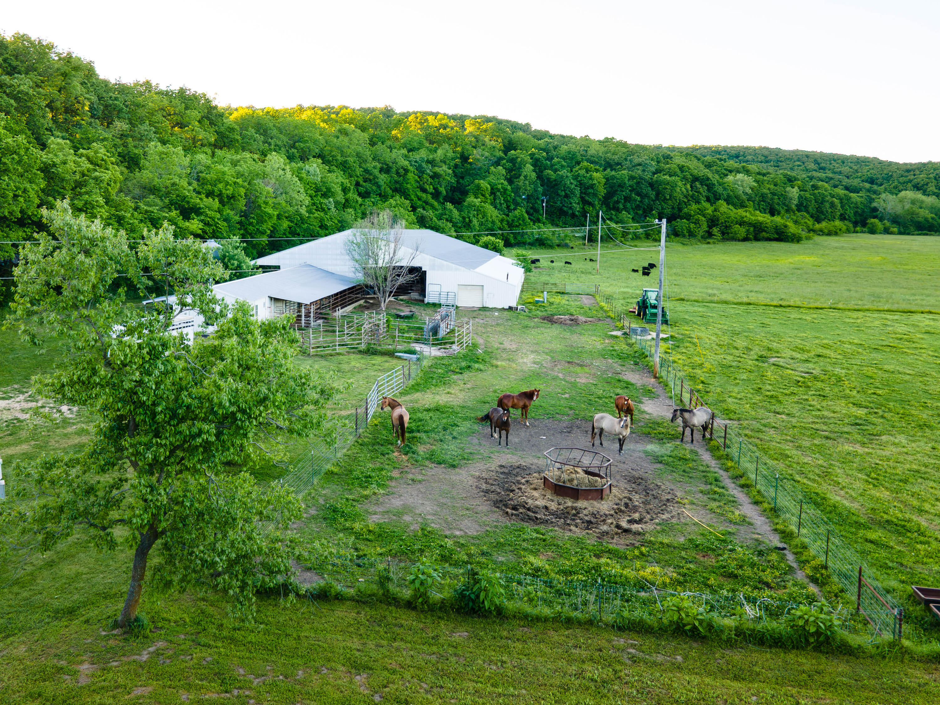 10790 Z Highway Property Photo 38