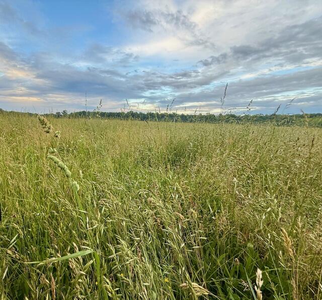 10790 Z Highway Property Photo 56