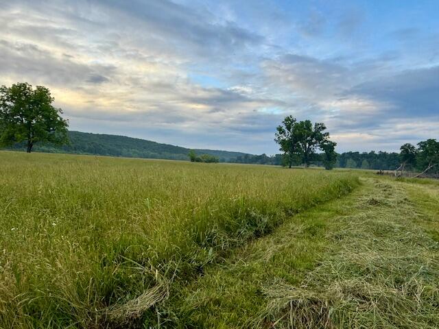 10790 Z Highway Property Photo 57
