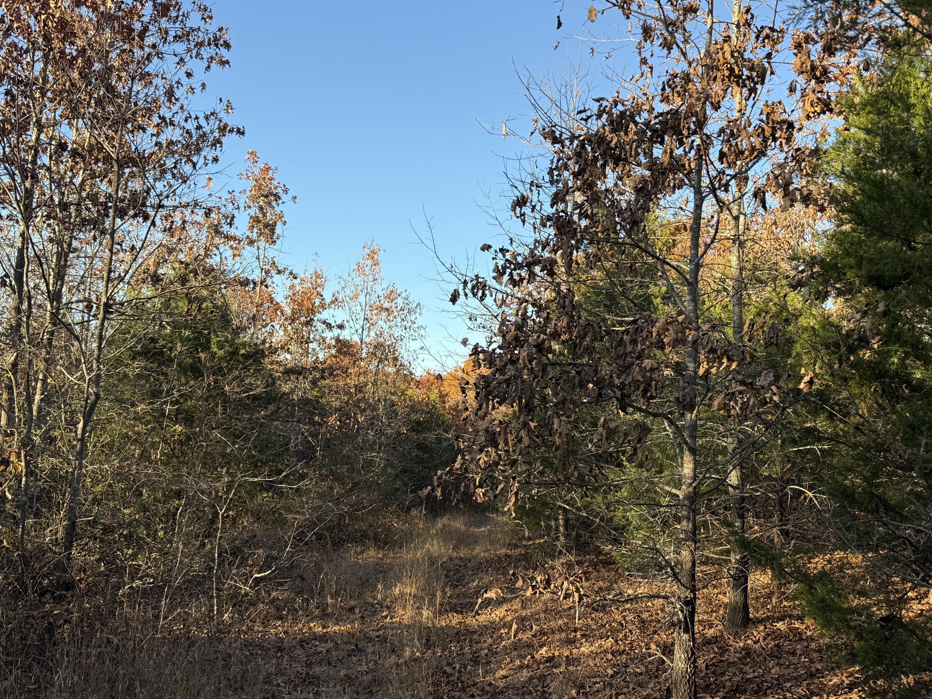 000 County Road 871 Property Photo 3