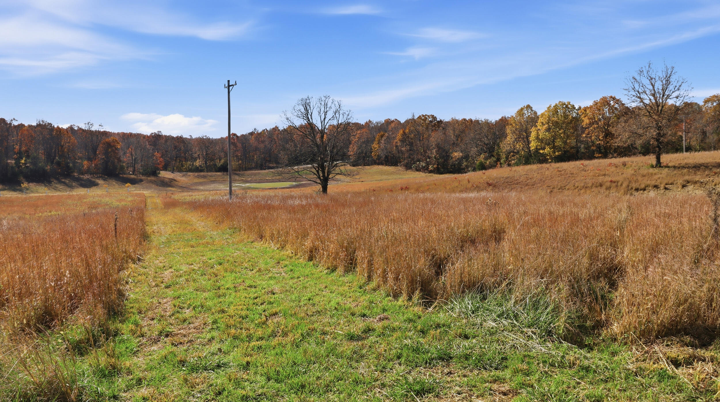 170 Ee Highway Property Photo 19