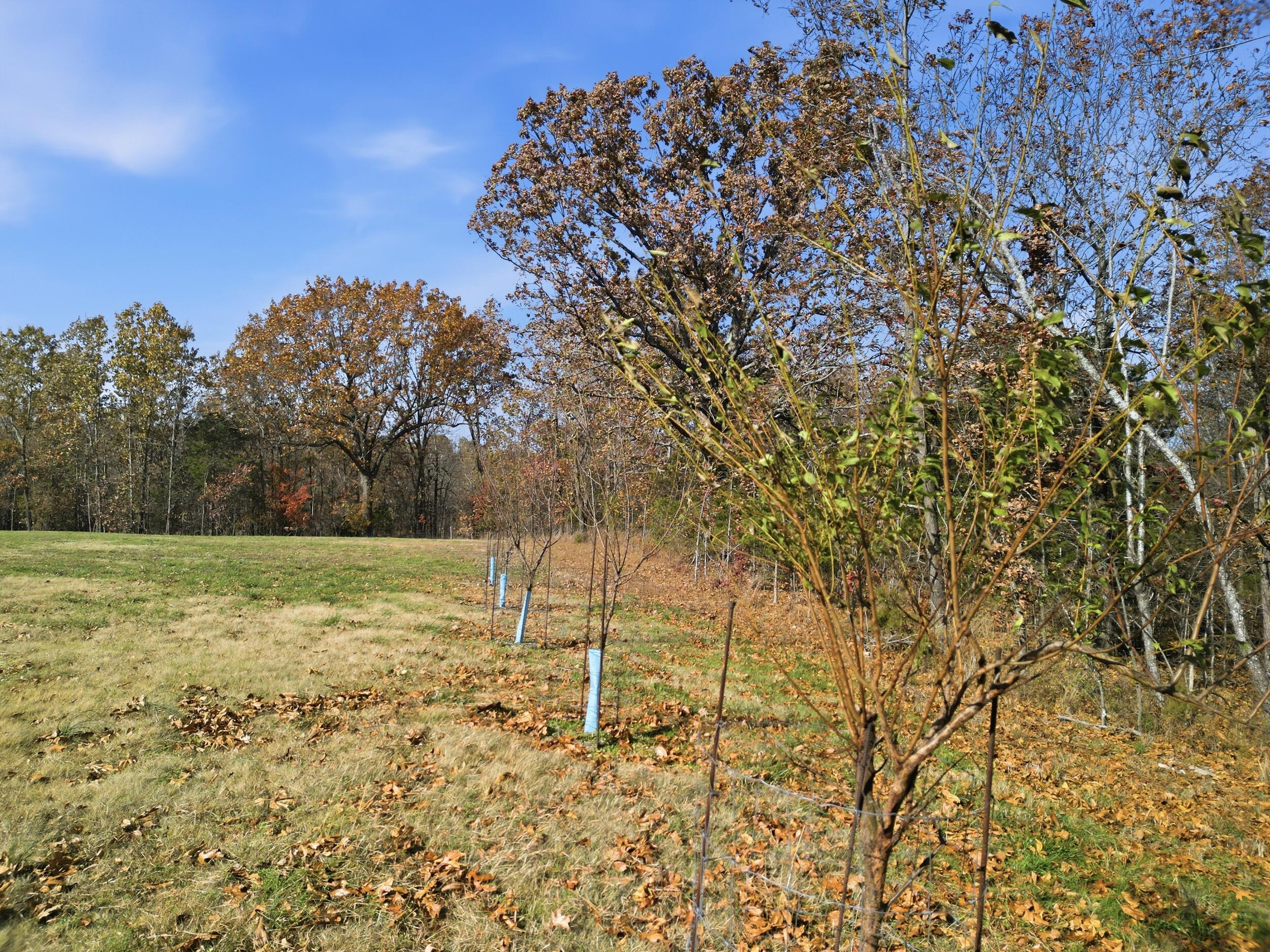 170 Ee Highway Property Photo 21