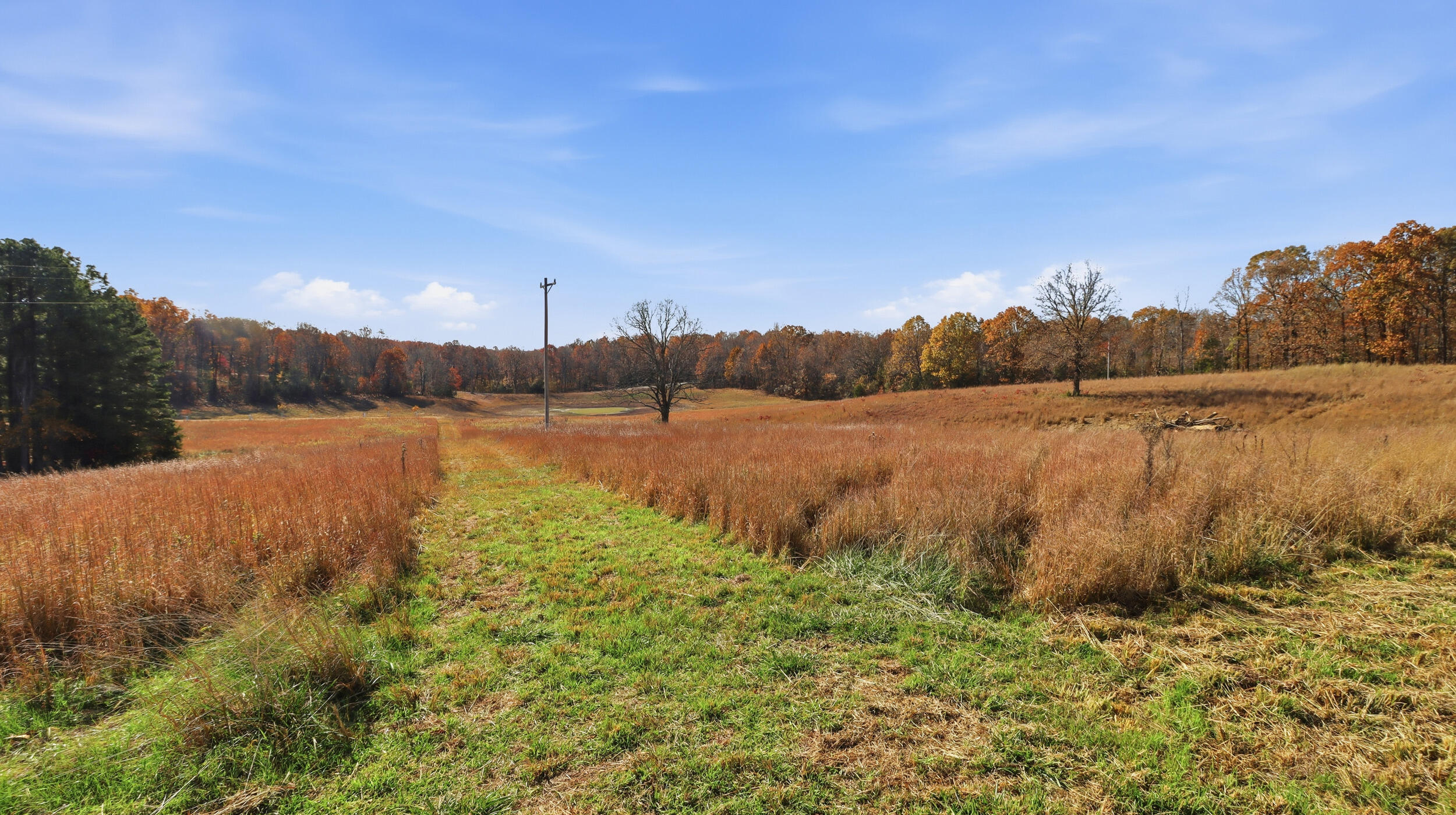170 Ee Highway Property Photo 22