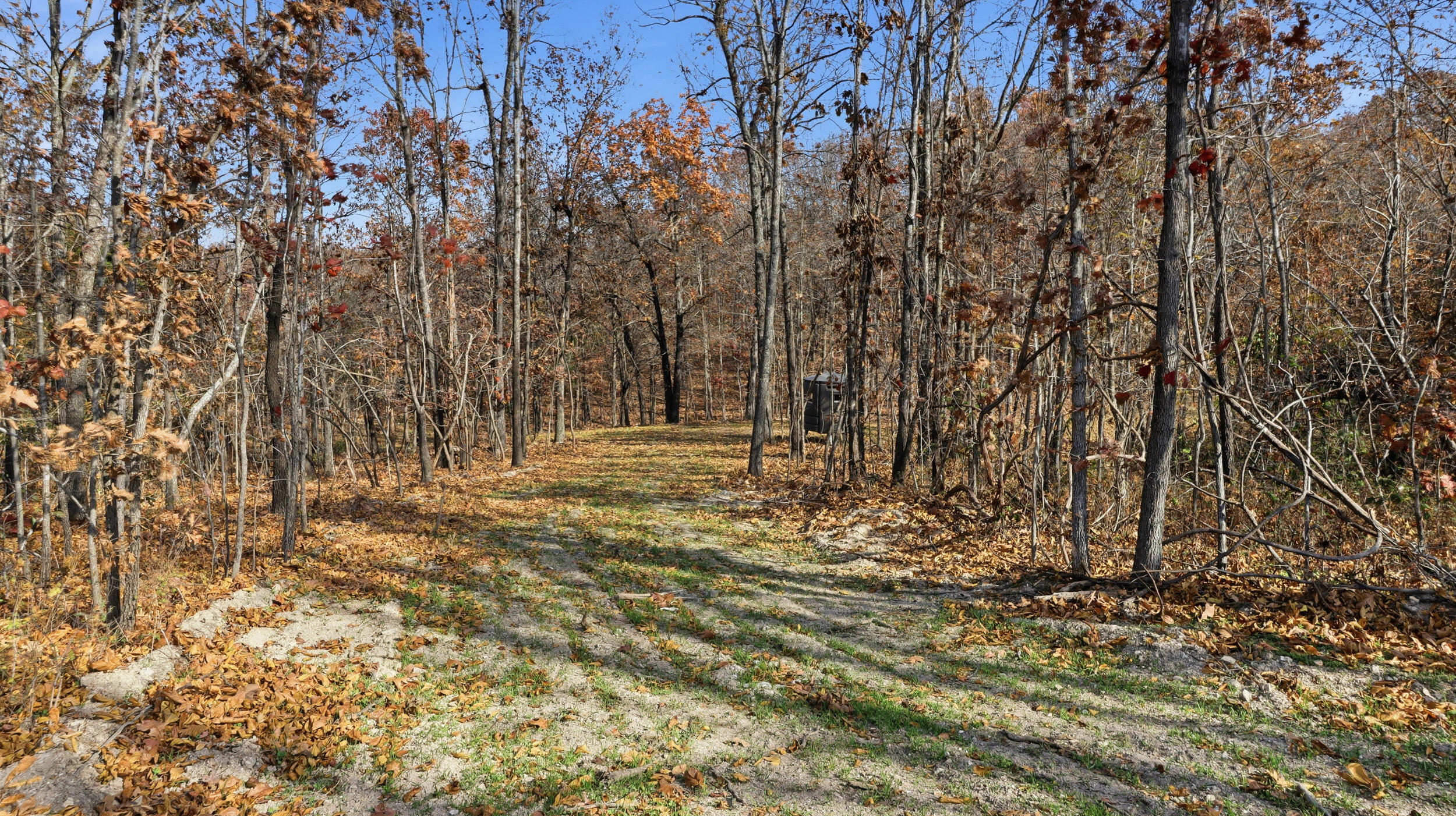 170 Ee Highway Property Photo 23
