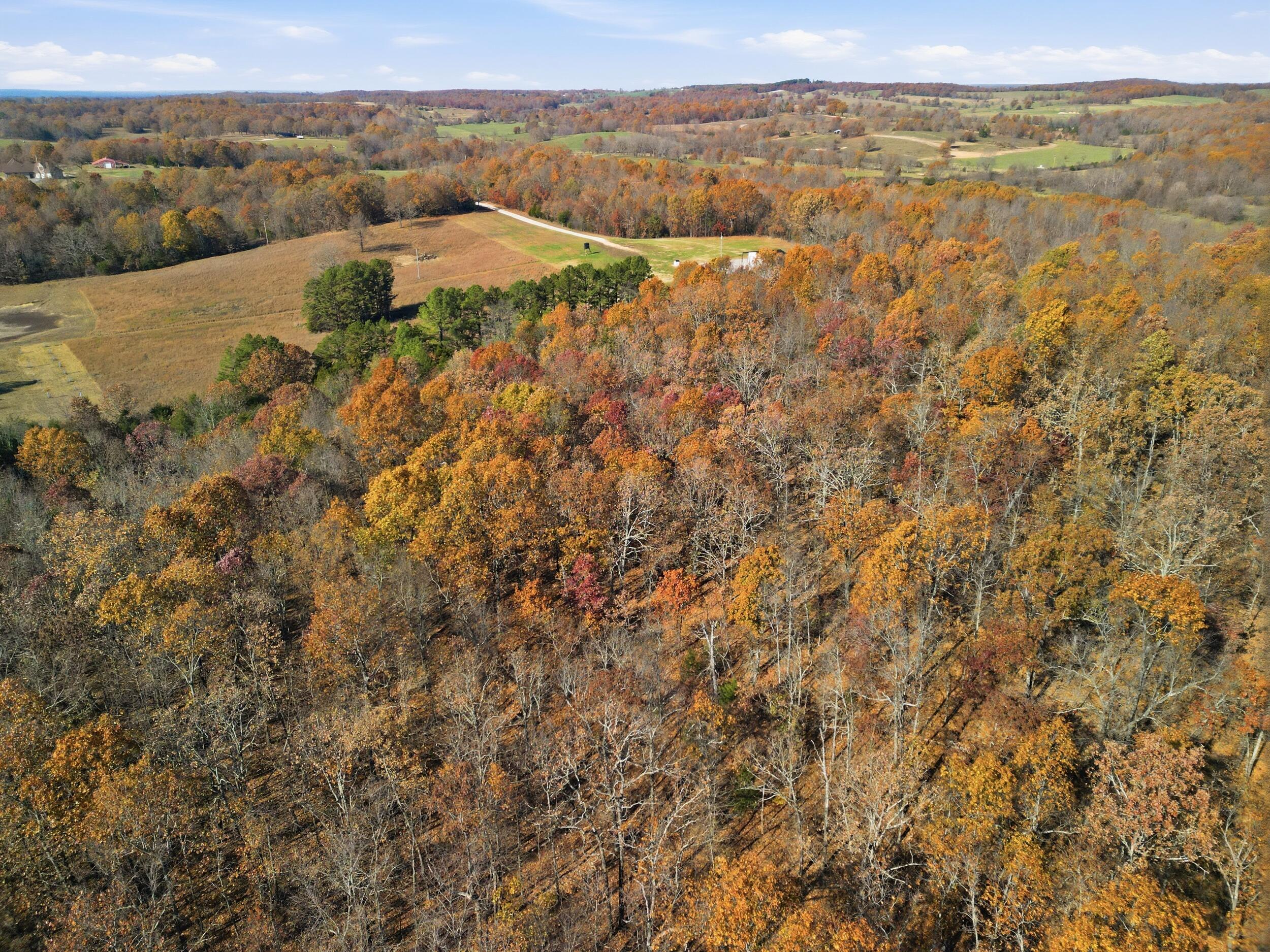 170 Ee Highway Property Photo 29