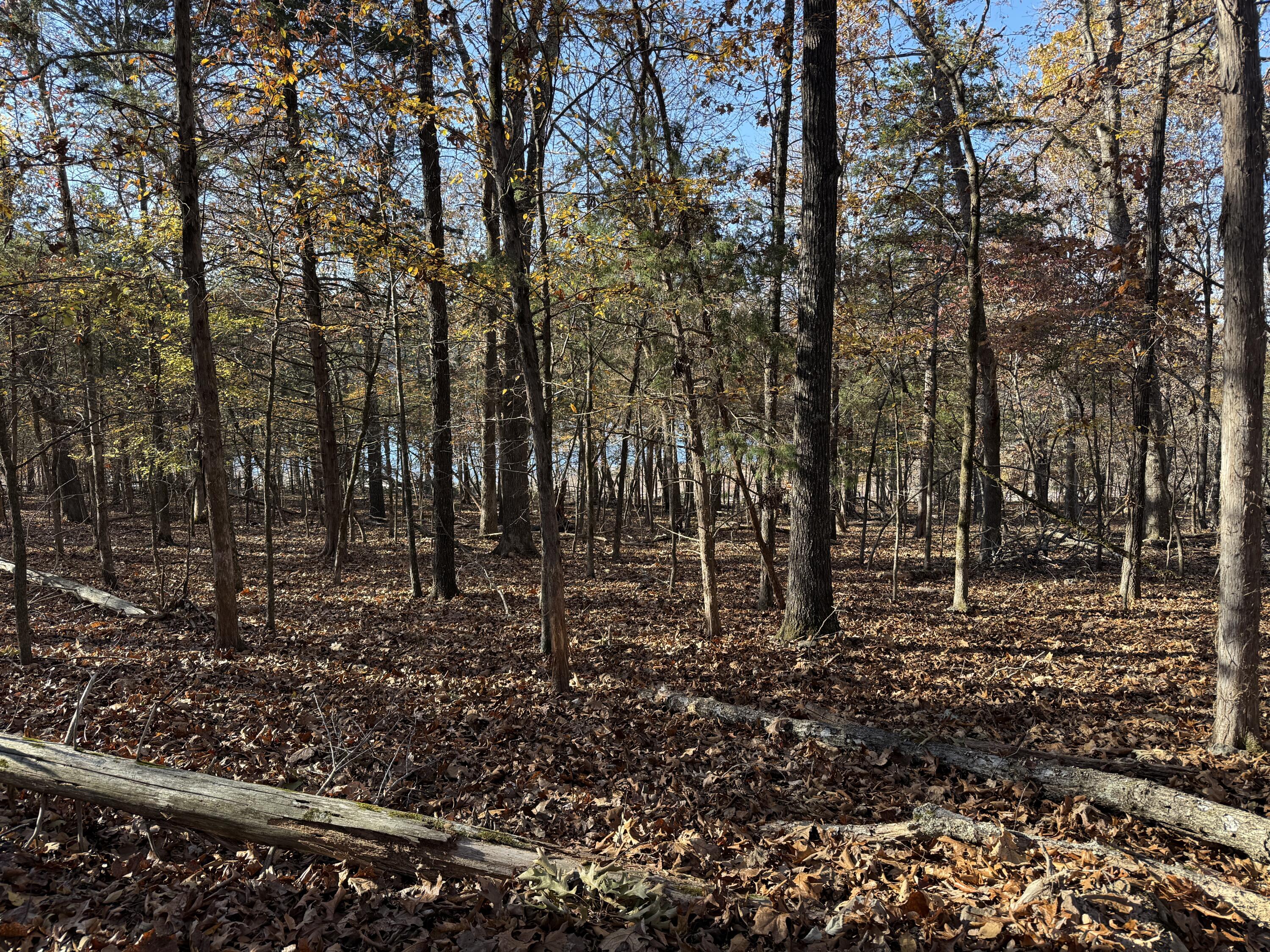 Lot 40 Point Ct. Property Photo 1