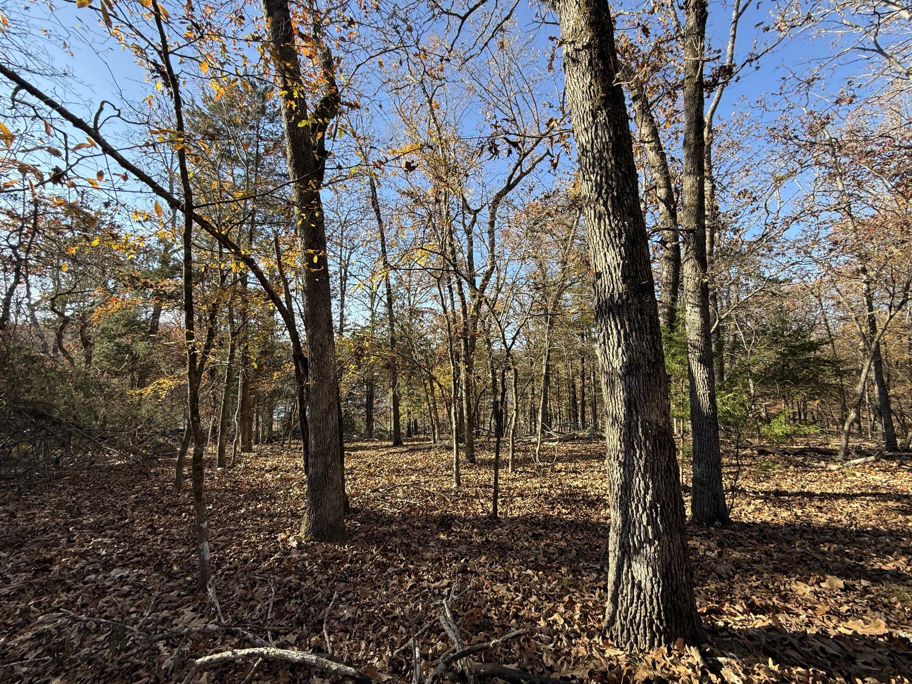 Lot 40 Point Ct. Property Photo 2