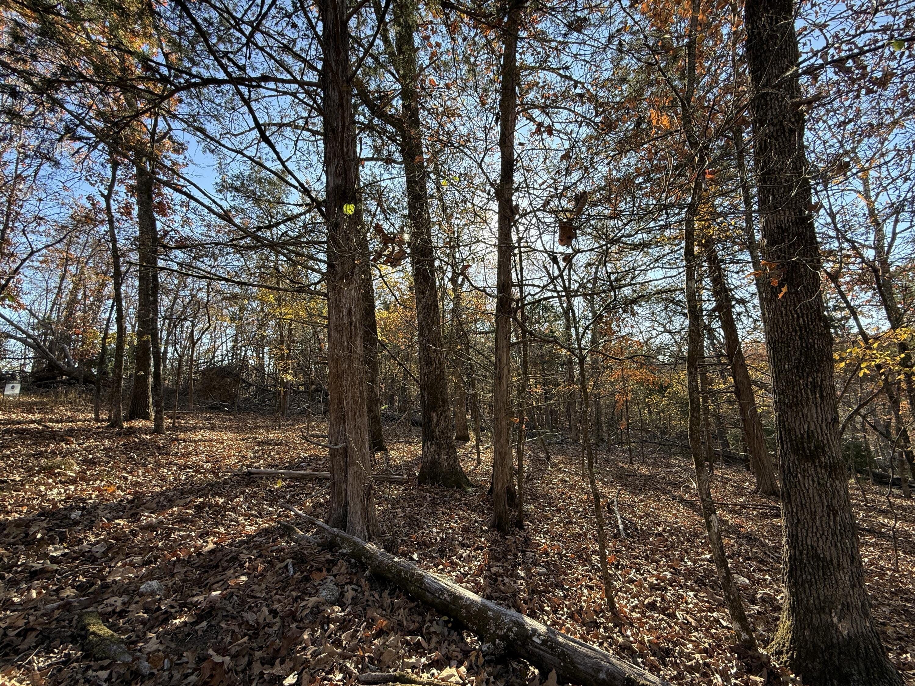 Lot 40 Point Ct. Property Photo 3
