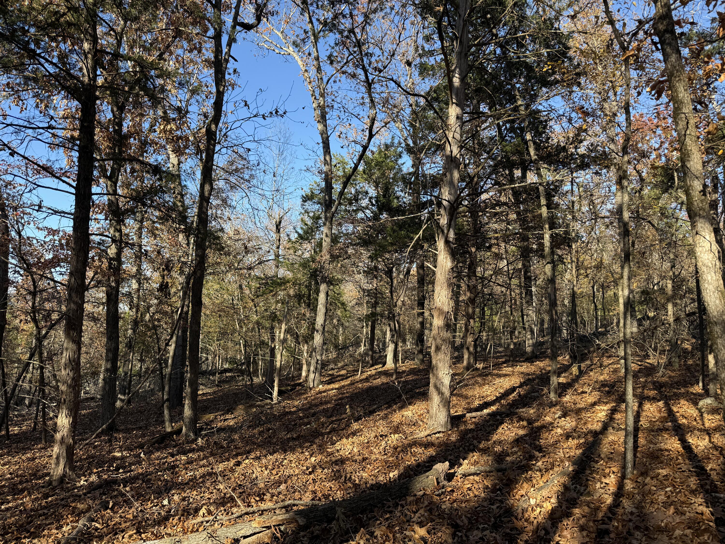Lot 40 Point Ct. Property Photo 4
