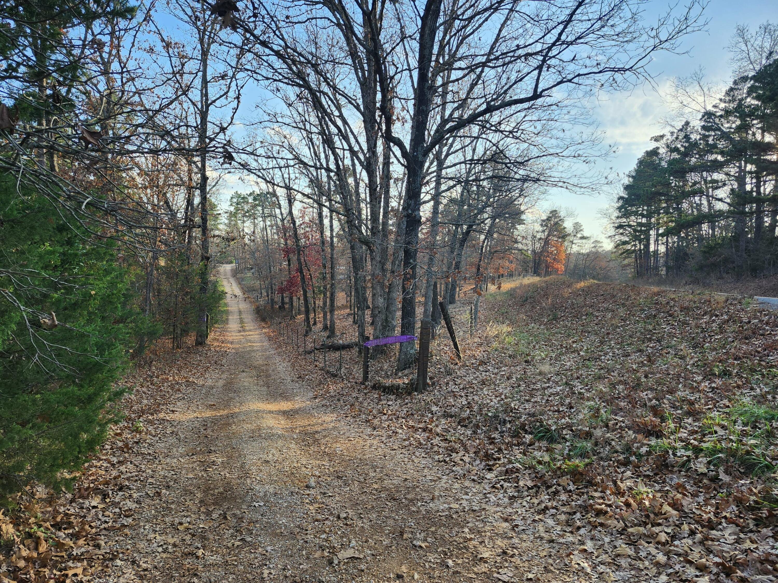 43565 St Highway 181-pvt Dr-b Property Photo 4