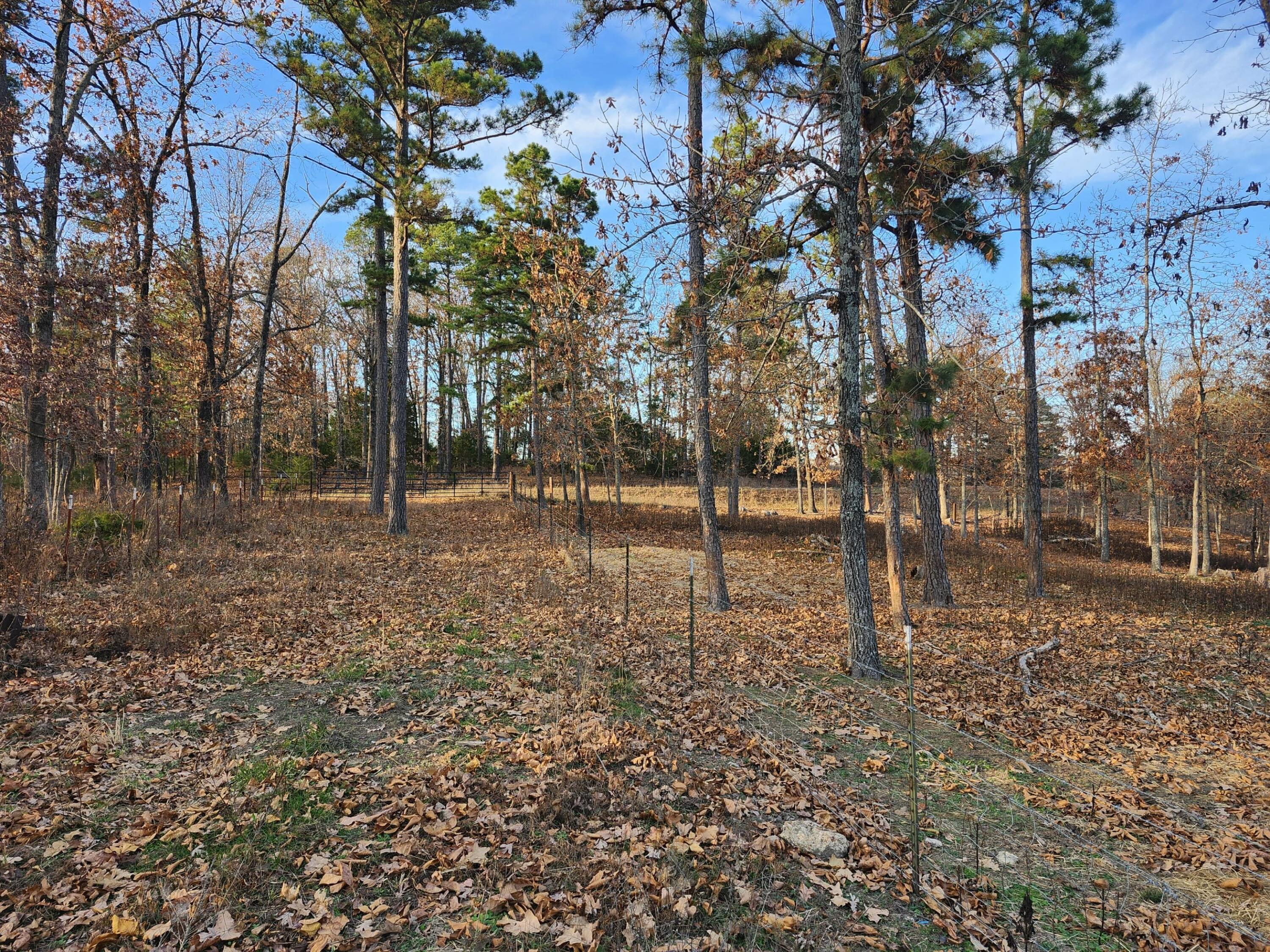 43565 St Highway 181-pvt Dr-b Property Photo 13