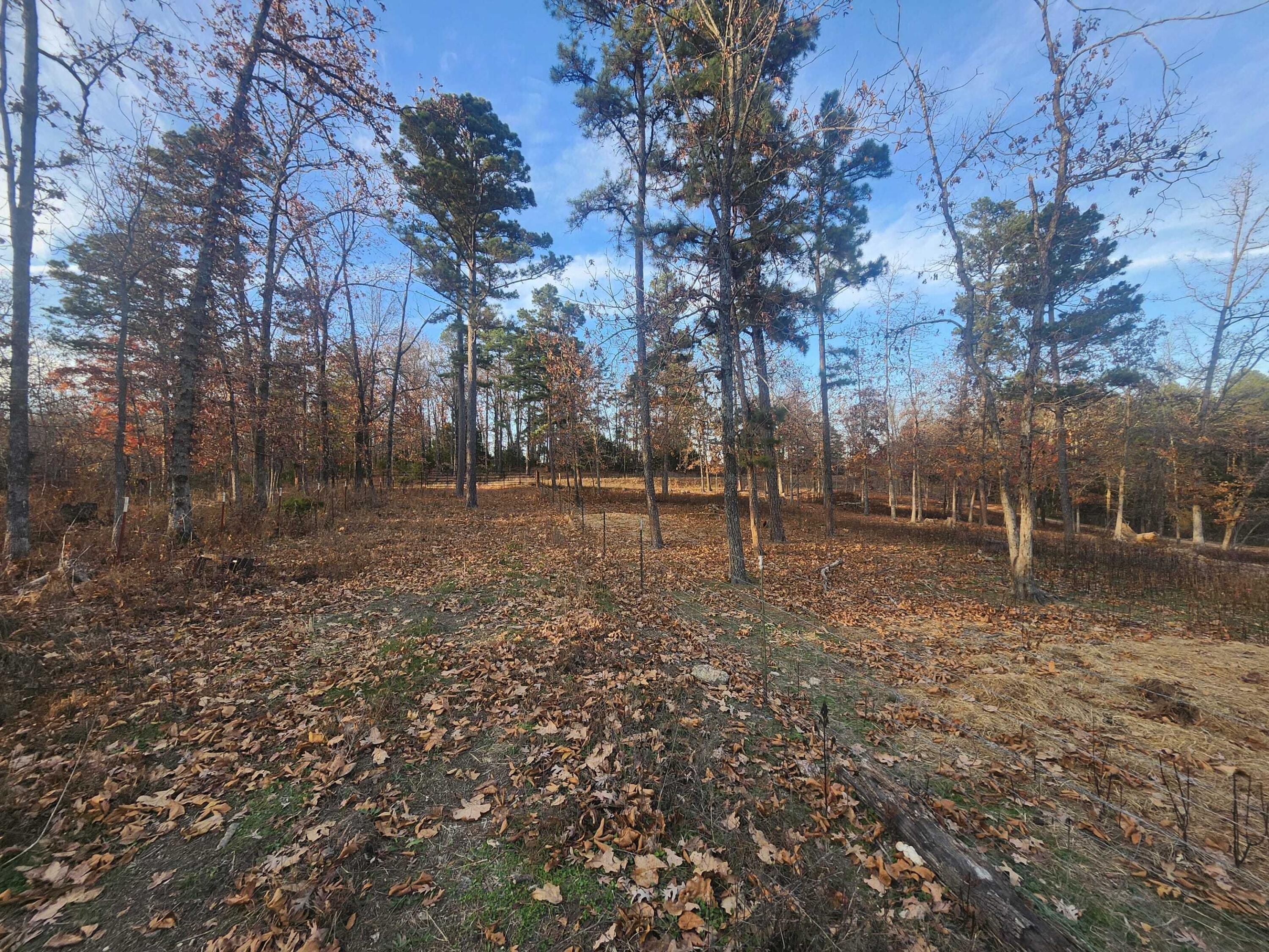 43565 St Highway 181-pvt Dr-b Property Photo 27