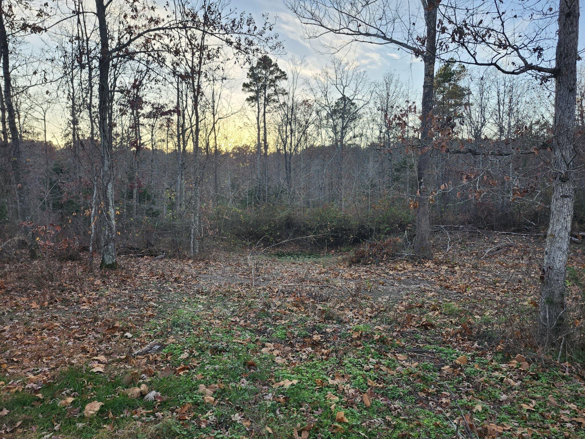 43565 St Highway 181-pvt Dr-b Property Photo 33