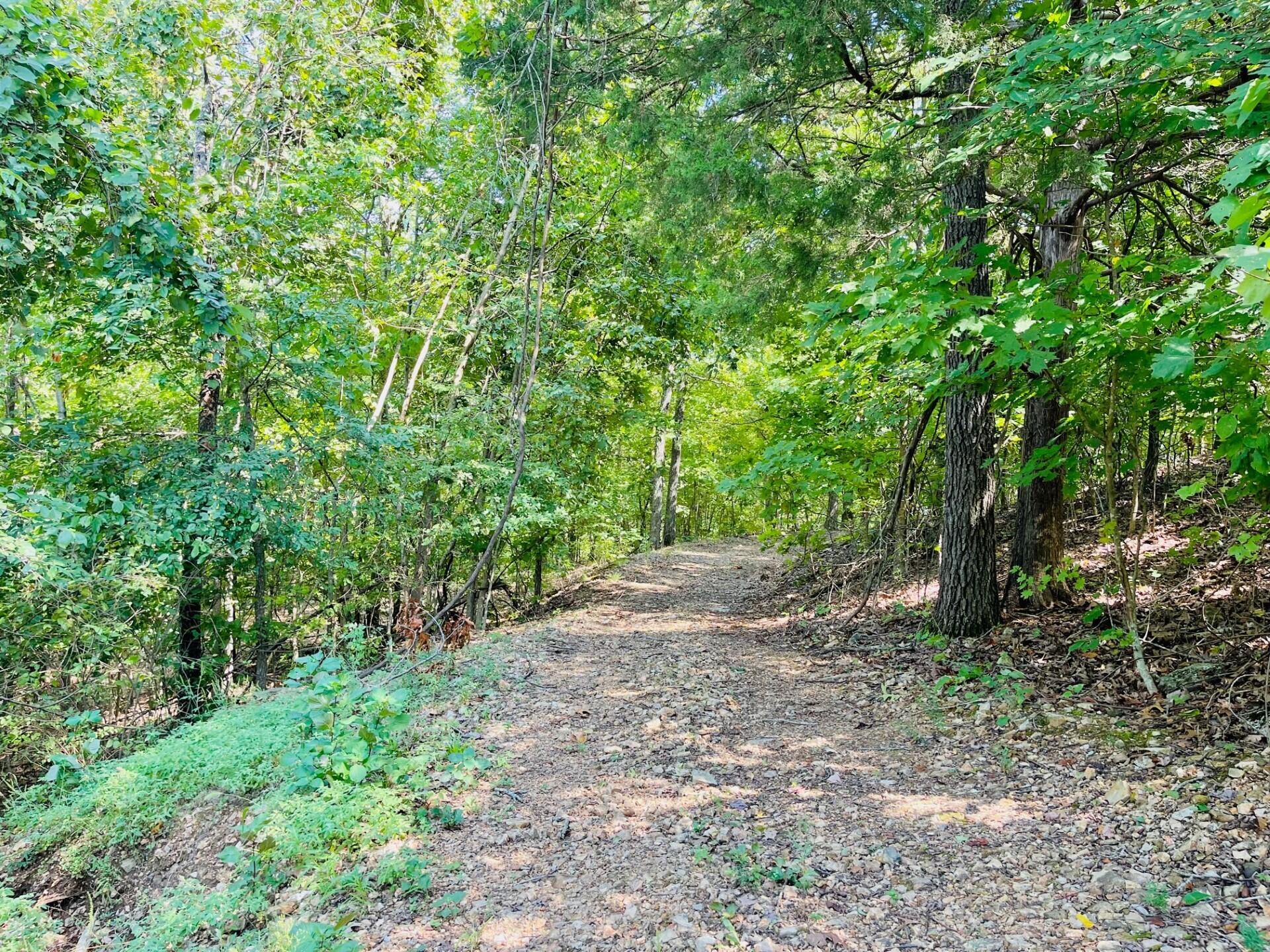 2362 North State Highway 265 20 Acres M/l Property Photo 6