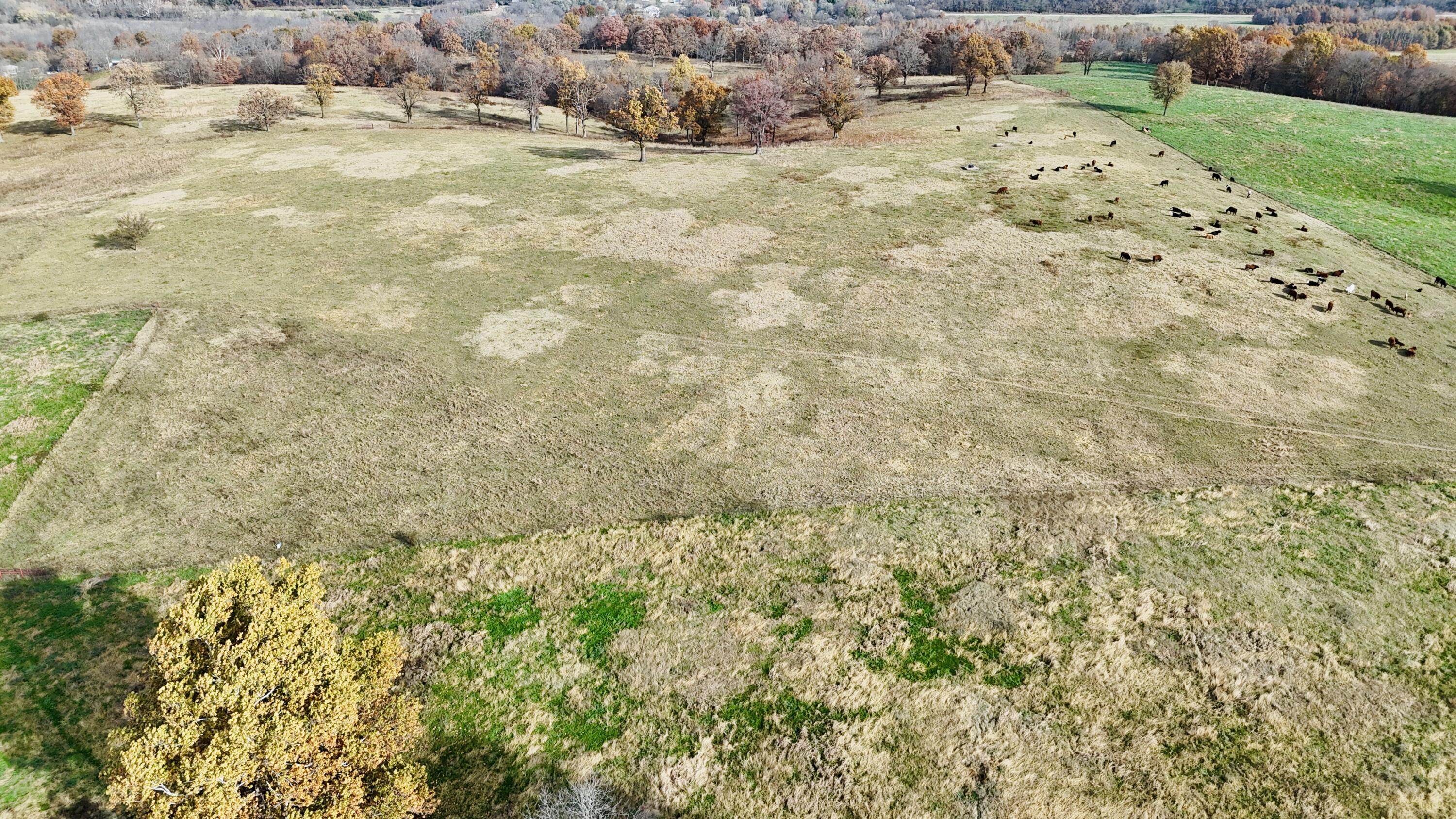 000 North Highway W Property Photo 11
