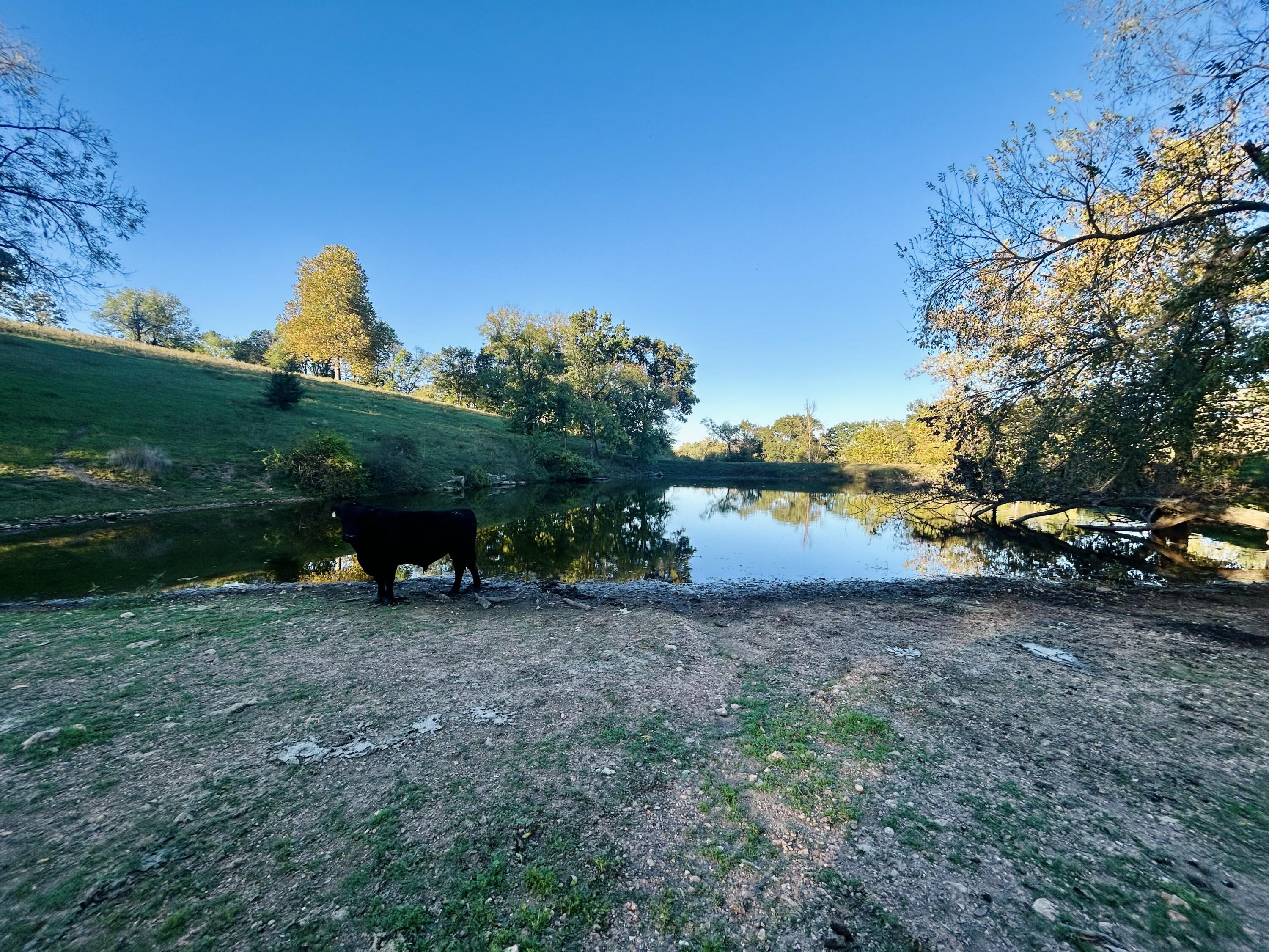 000 North Highway W Property Photo 22