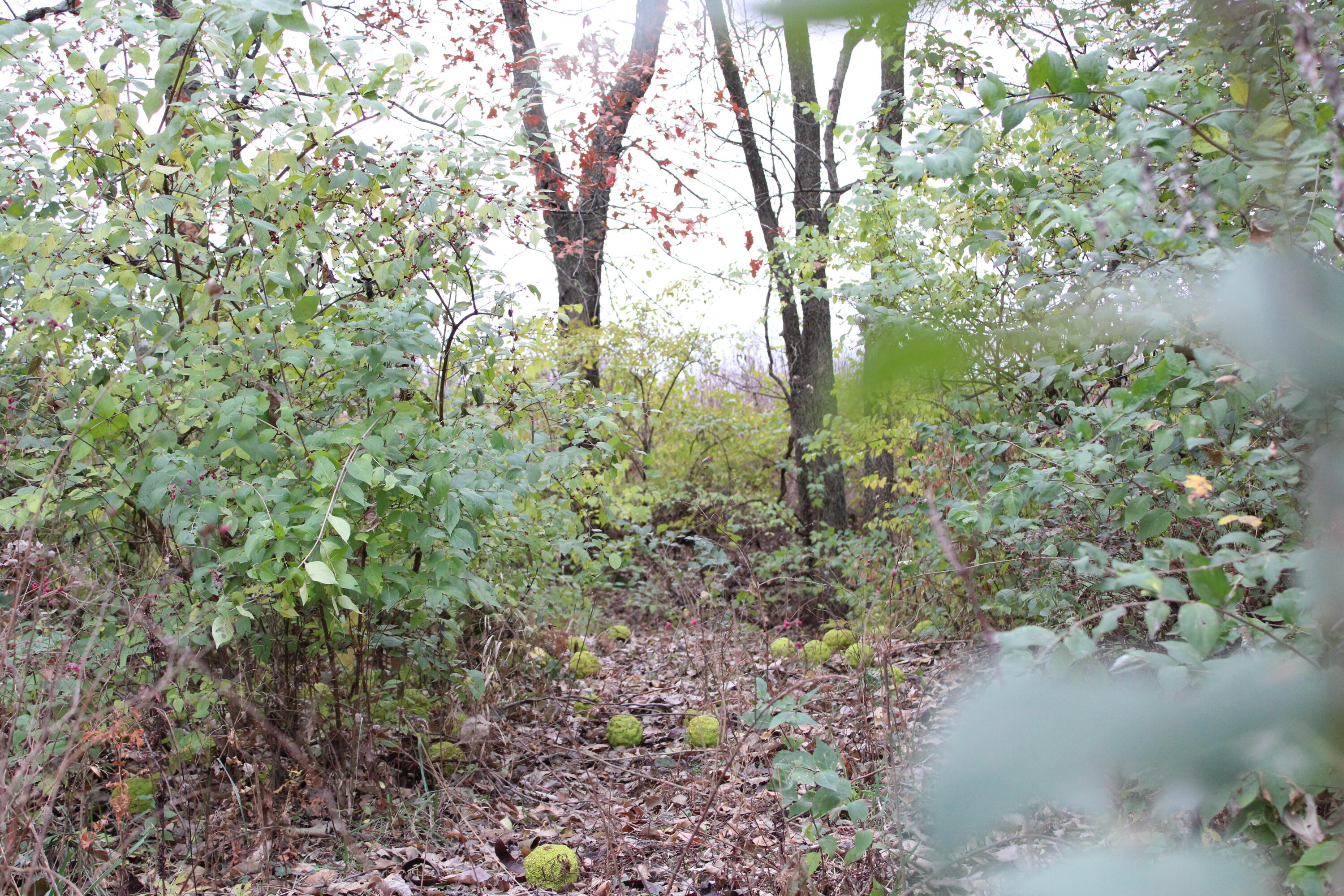 710 Southeast State Hwy Pp Property Photo 19