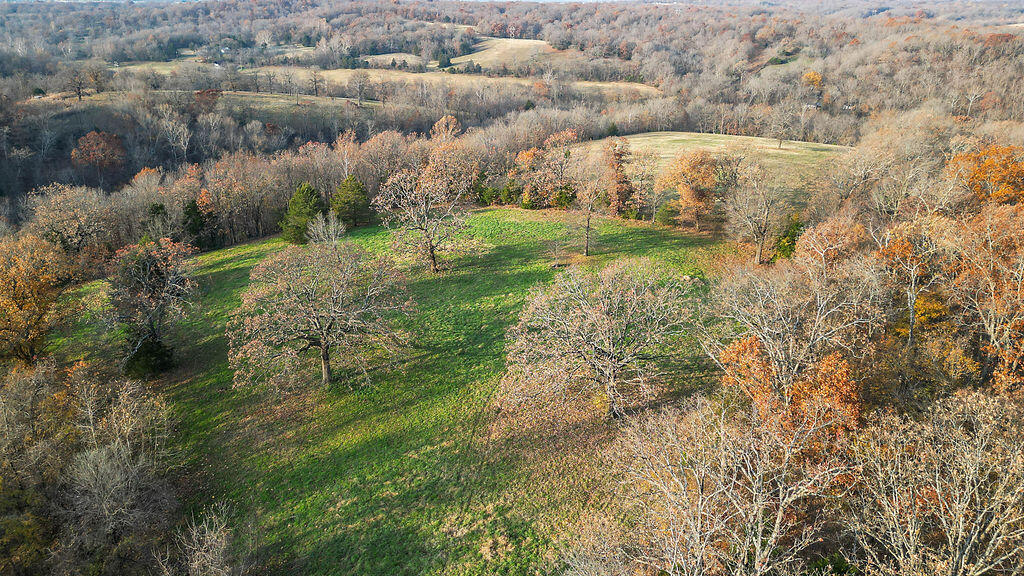 171 Togi Hill Road Property Photo 41