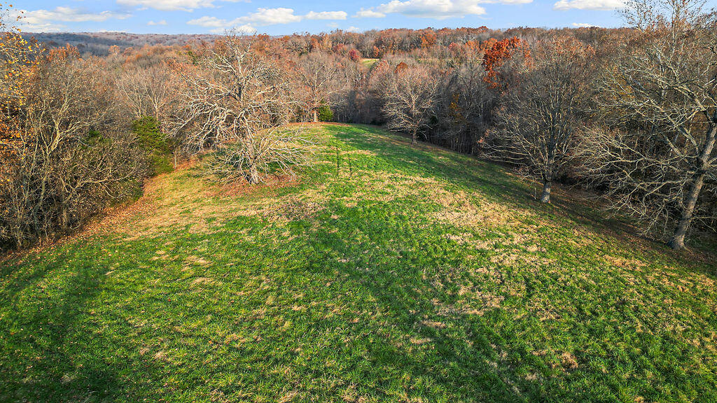 171 Togi Hill Road Property Photo 47