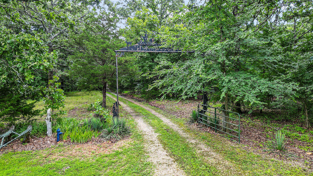 171 Togi Hill Road Property Photo 49