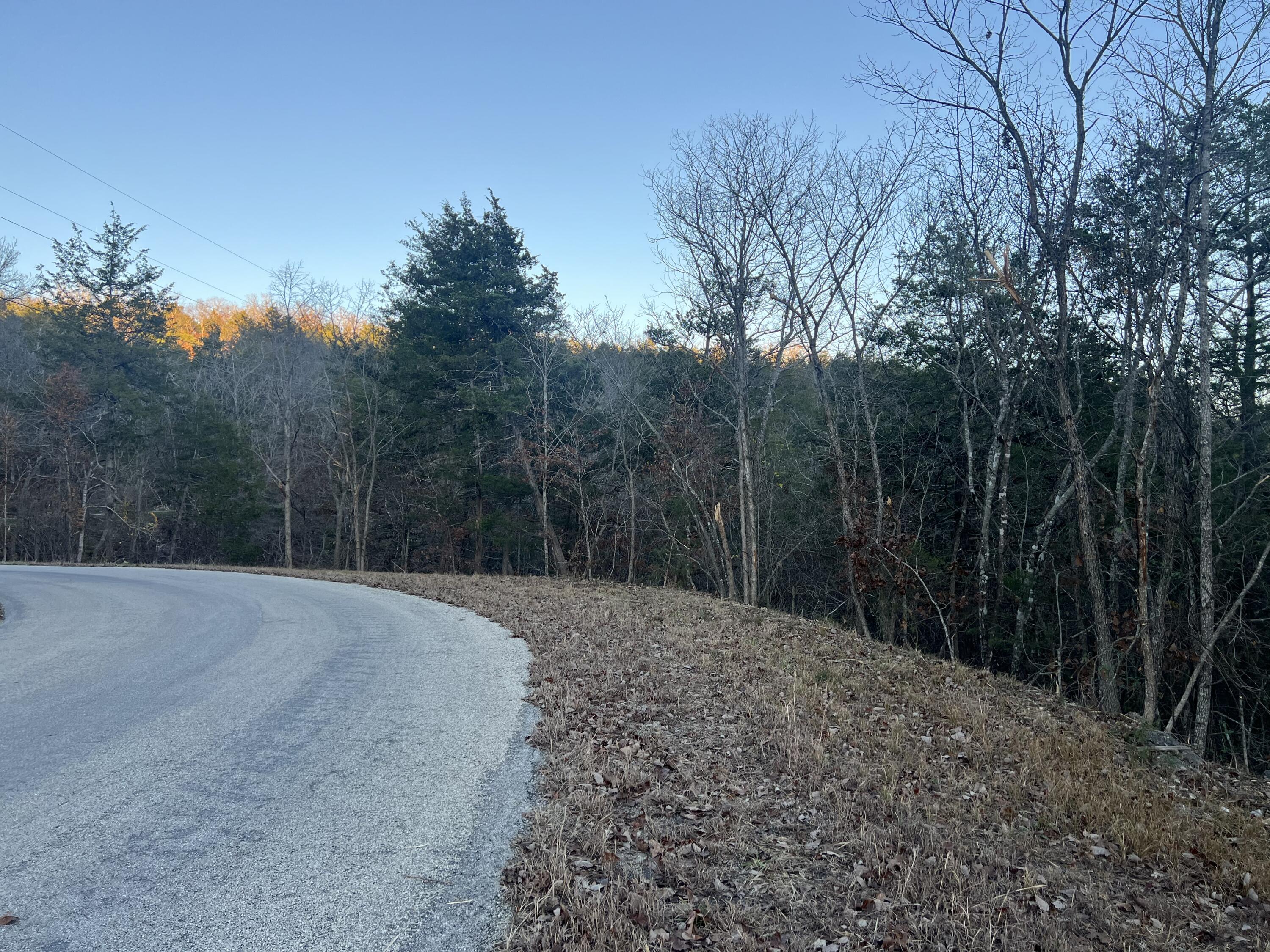 790 Pomme De Terre Property Photo 3