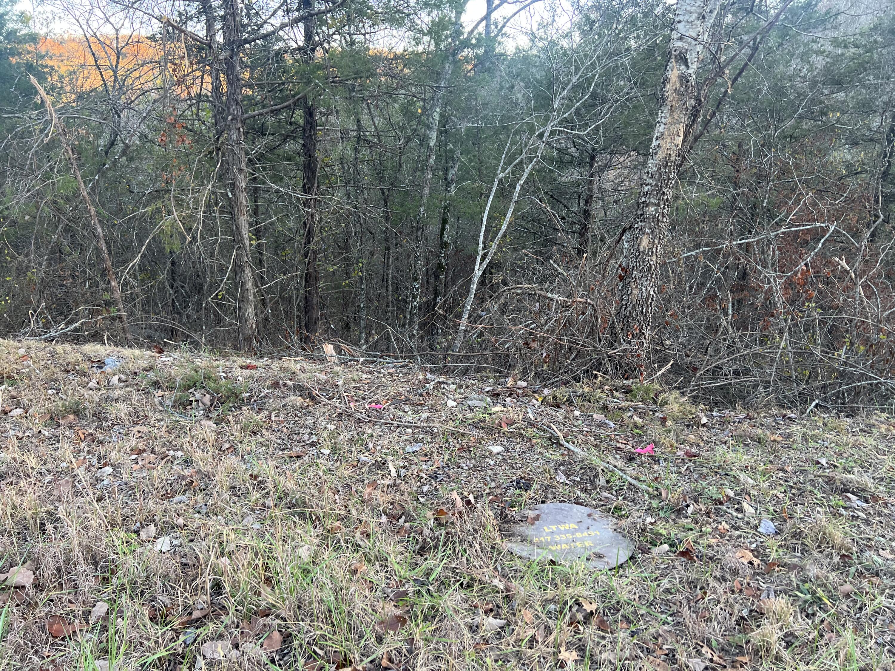 790 Pomme De Terre Property Photo 6
