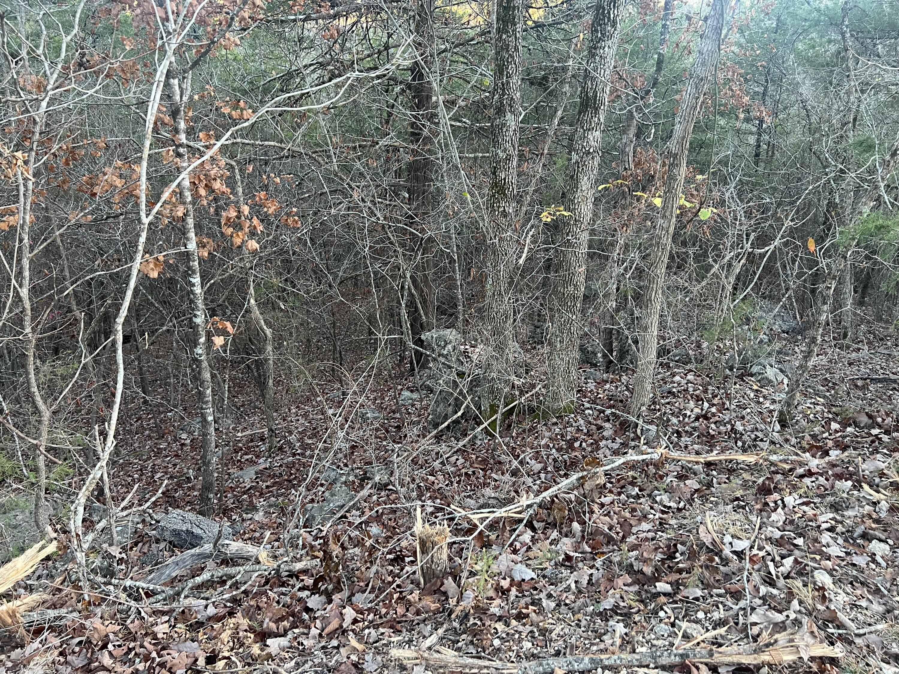 790 Pomme De Terre Property Photo 7