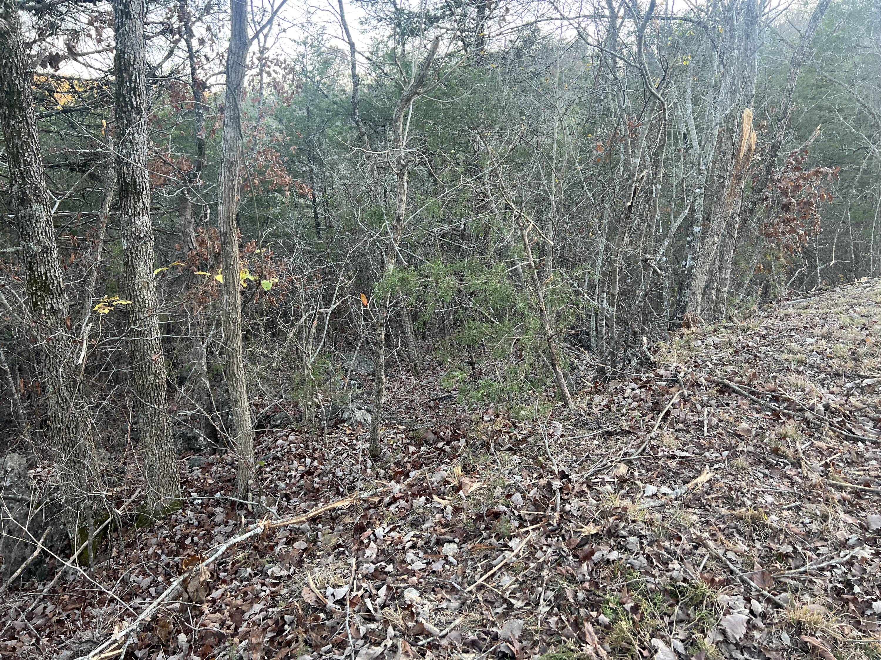 790 Pomme De Terre Property Photo 8