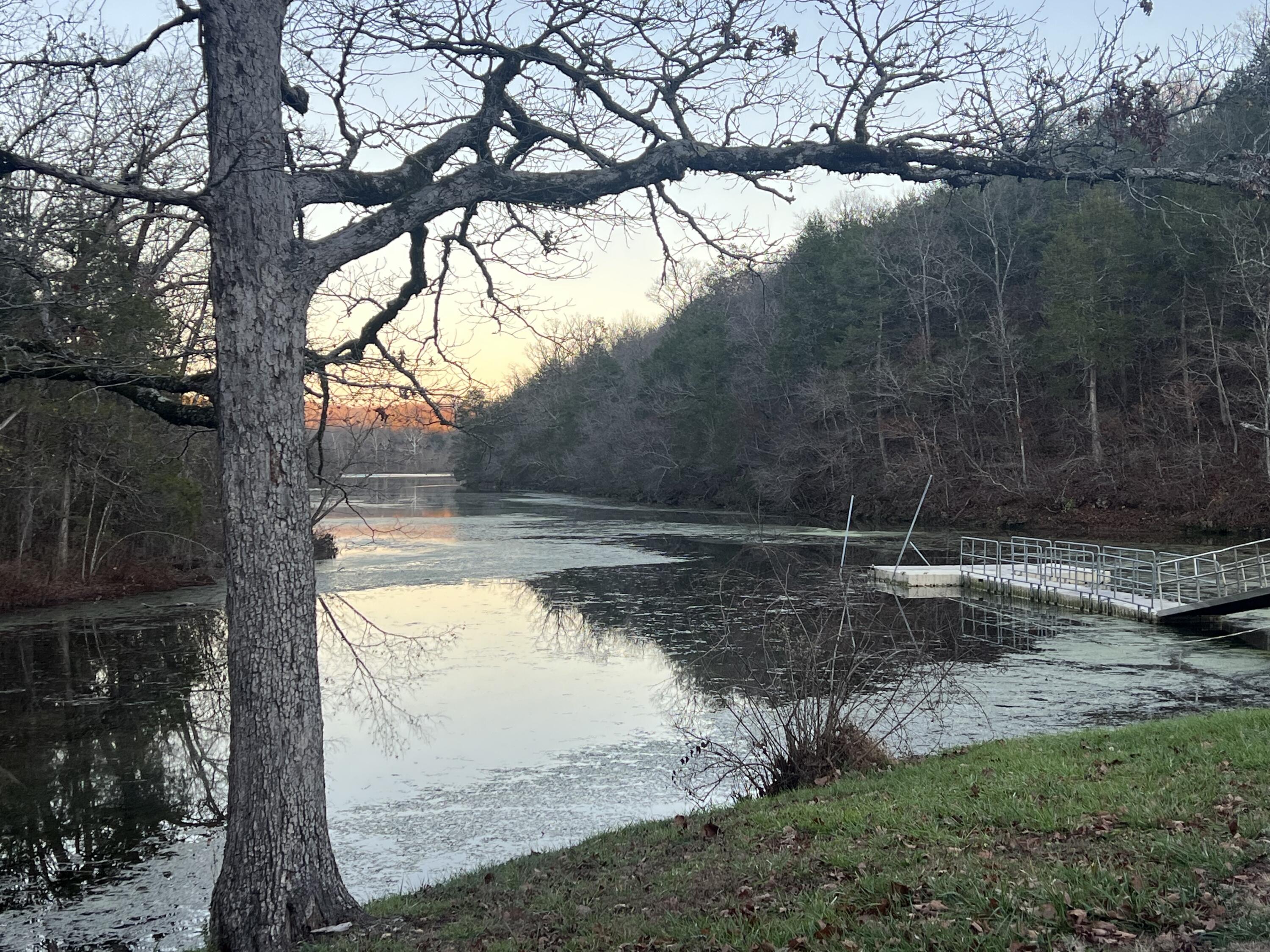 790 Pomme De Terre Property Photo 11