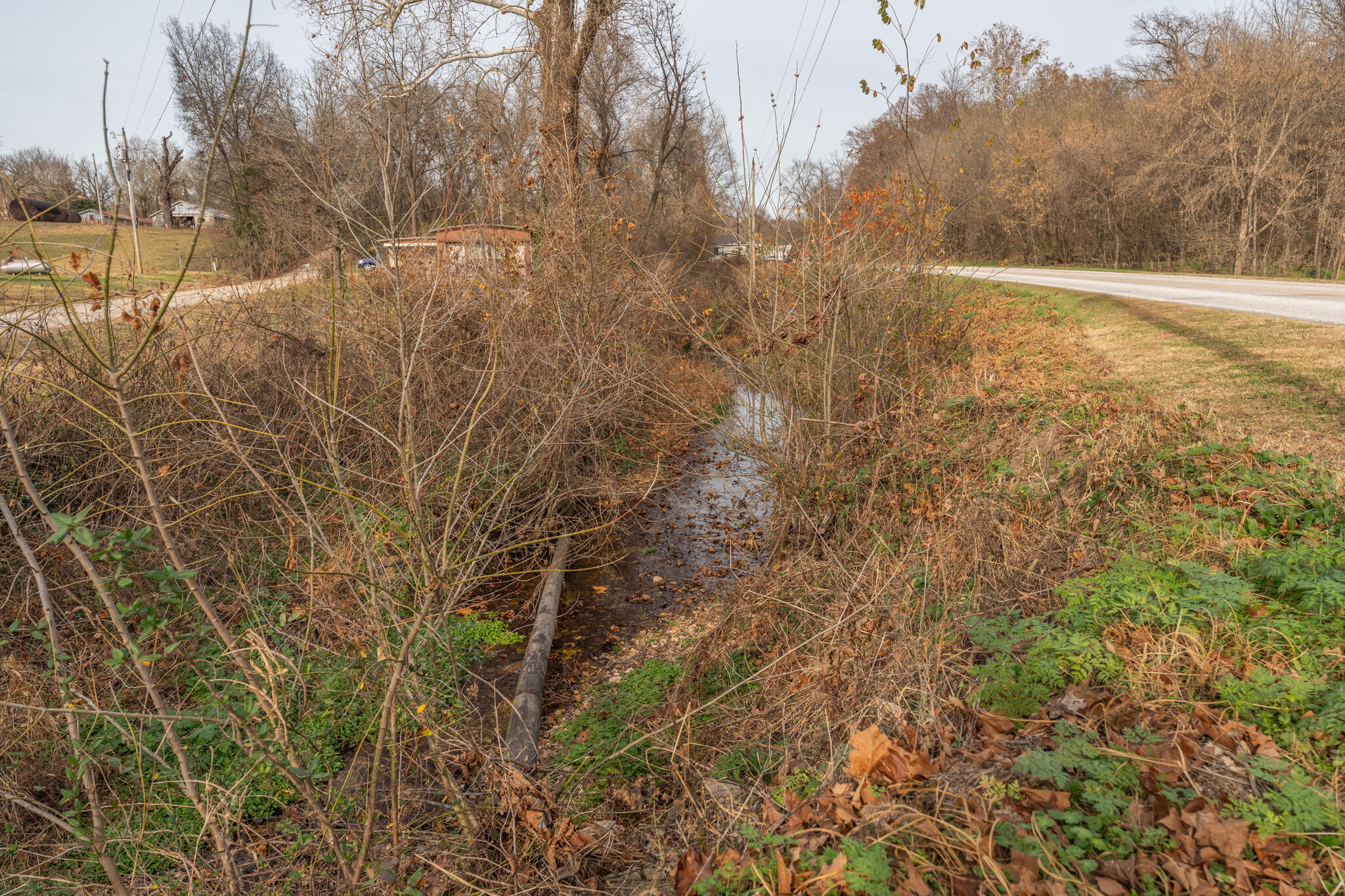 16764 Fletcher Road Property Photo 6