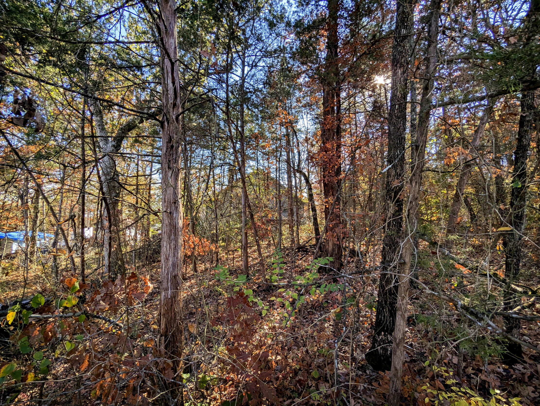 Lot 69&70 Bluebird Road Property Photo 1