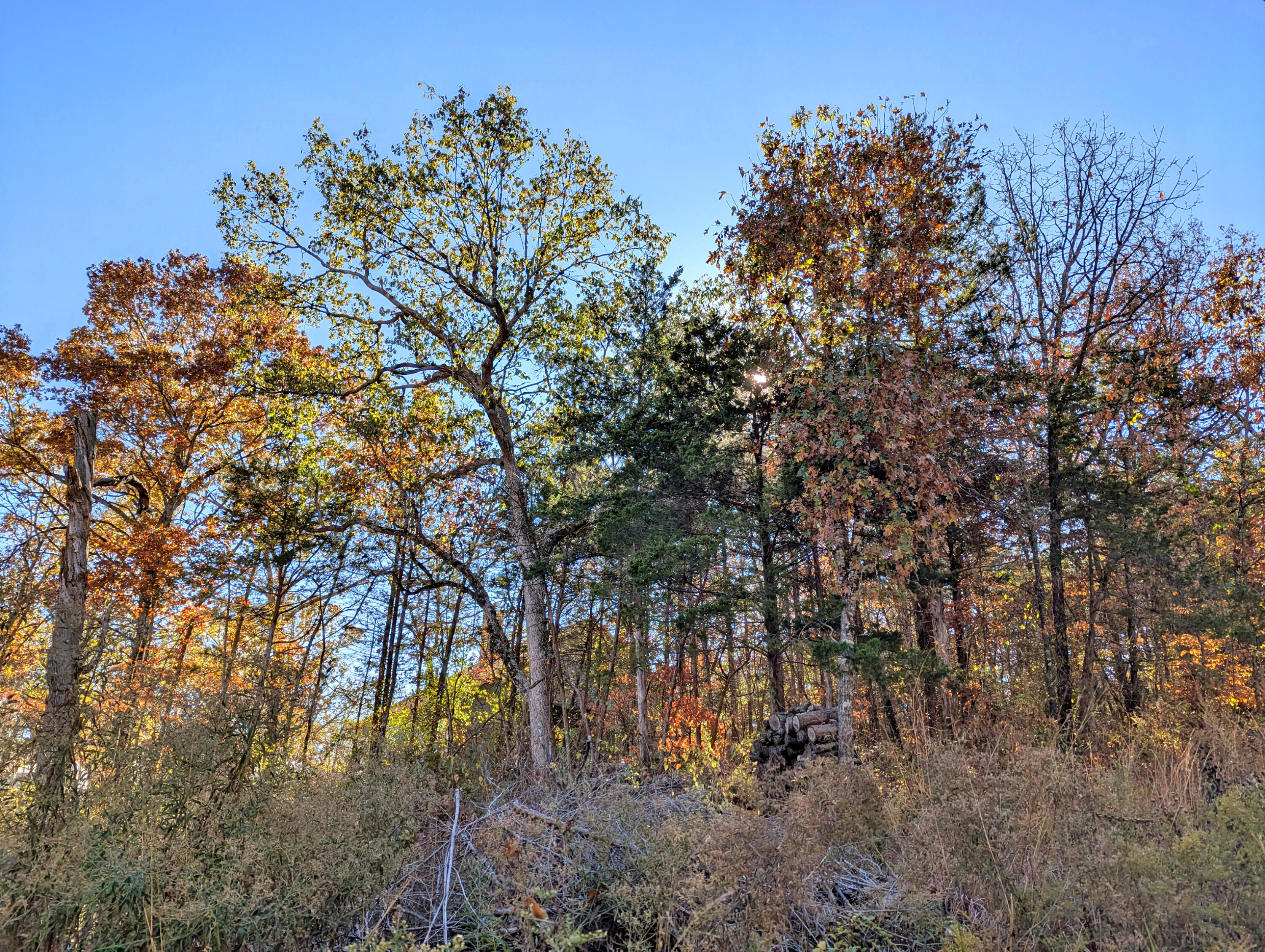Lot 69&70 Bluebird Road Property Photo 2