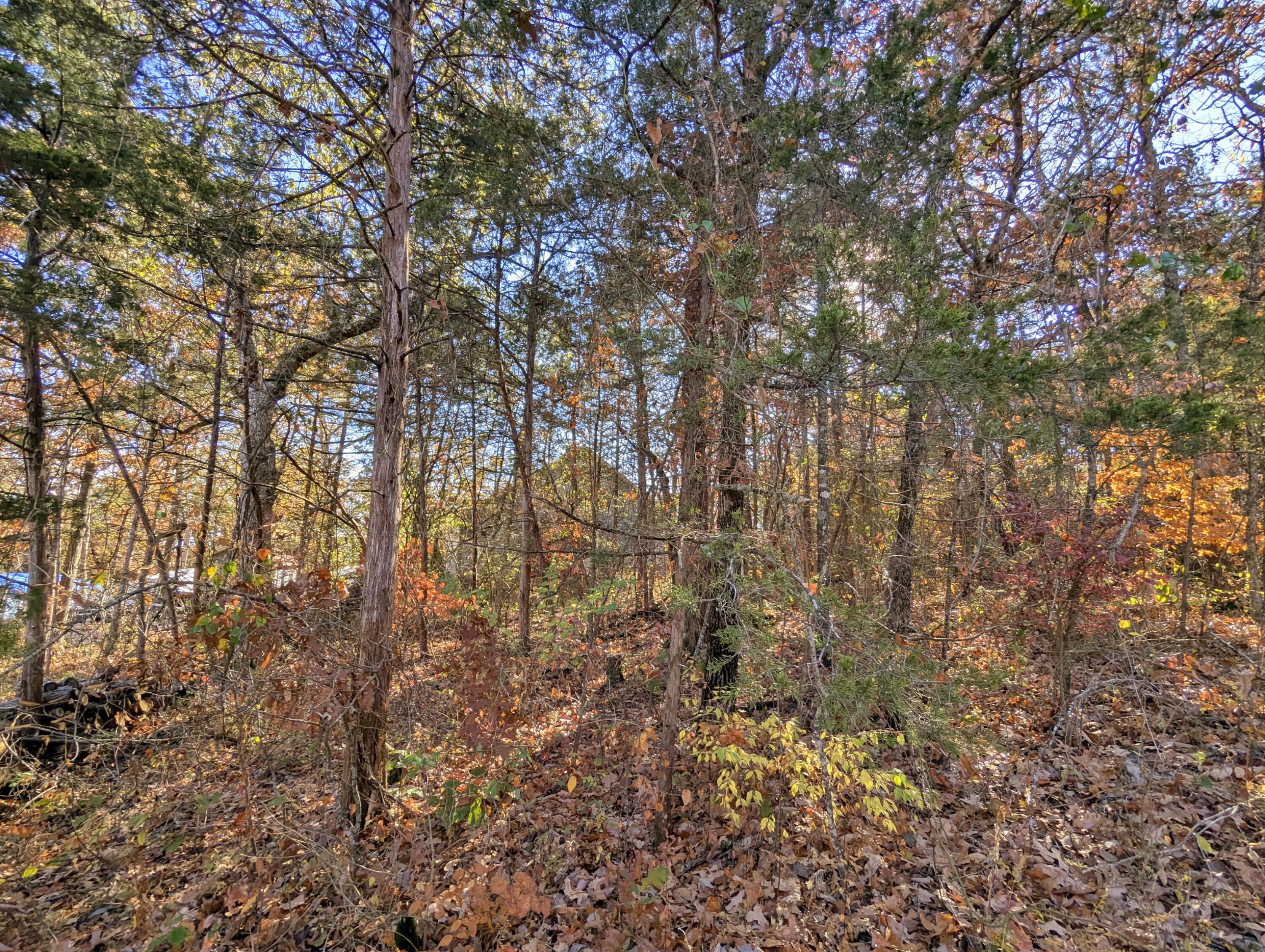 Lot 69&70 Bluebird Road Property Photo 3