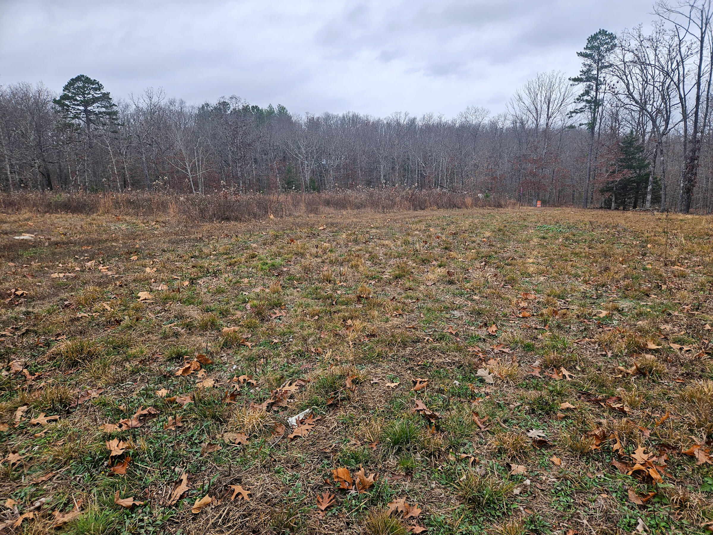 21371 Howell Road Property Photo 31
