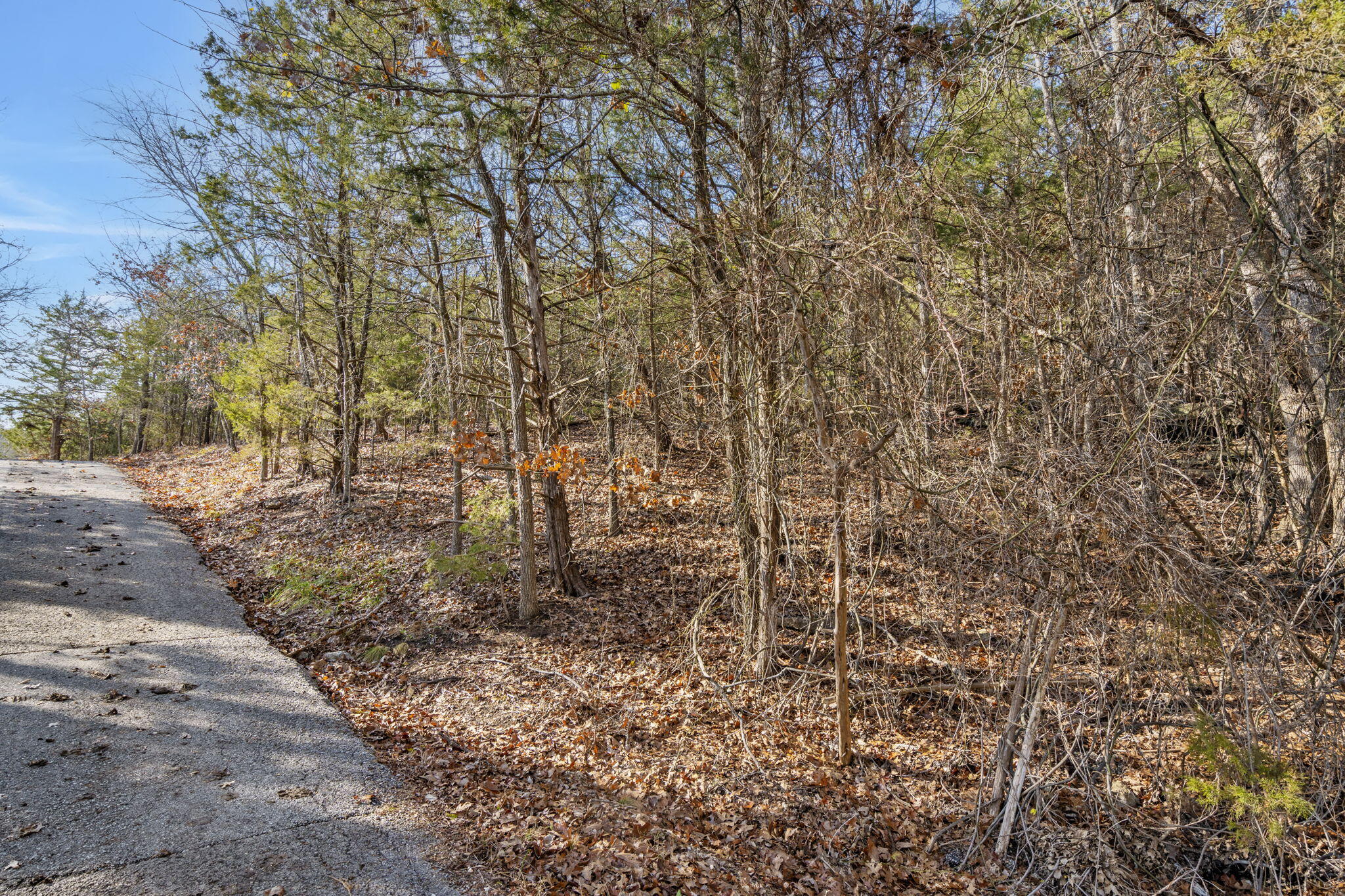 Lot 7 Elm Drive Property Photo 9