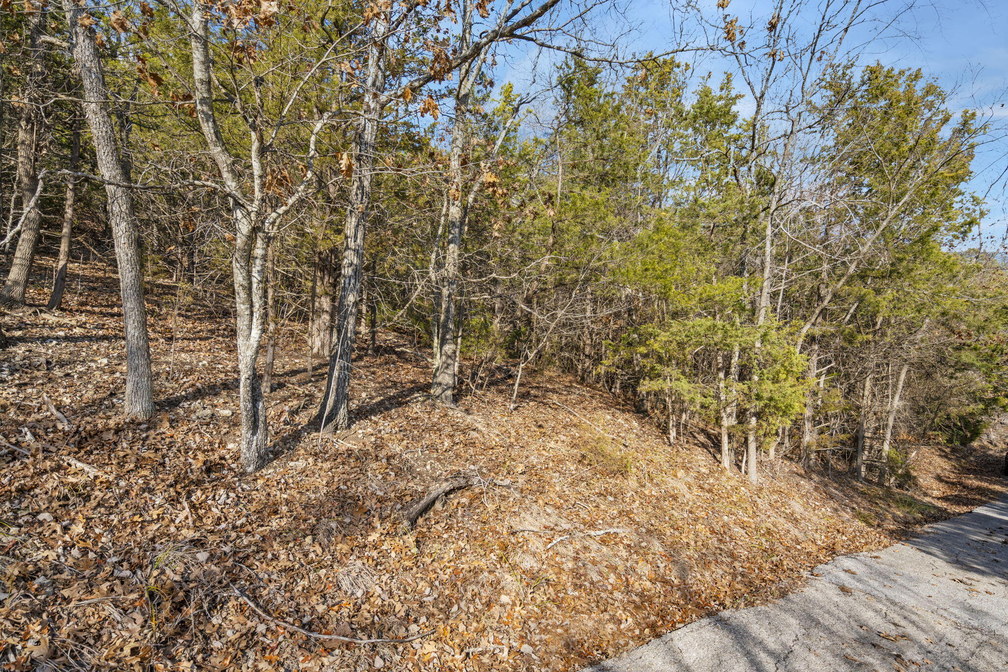 Lot 7 Elm Drive Property Photo 10
