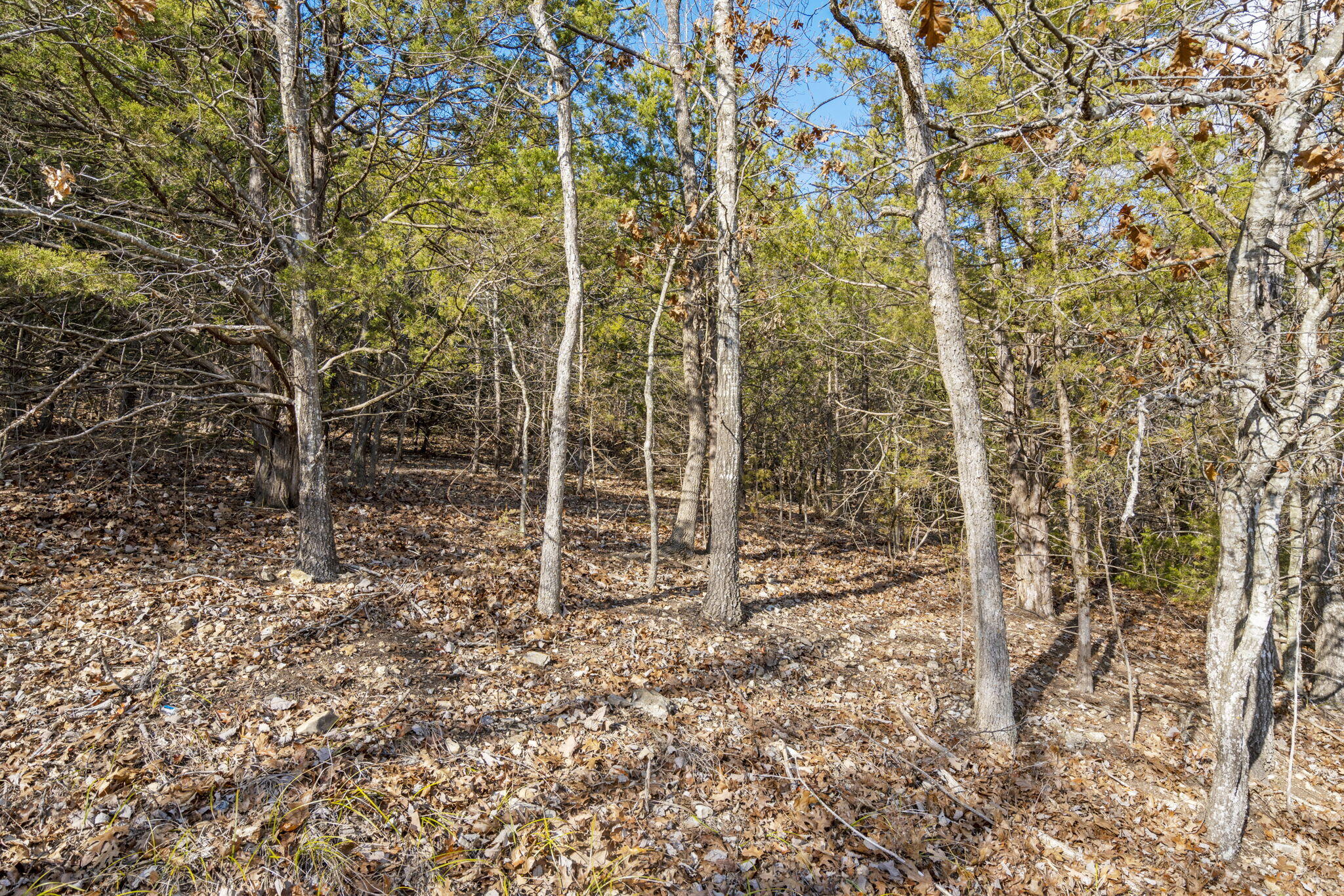 Lot 7 Elm Drive Property Photo 11