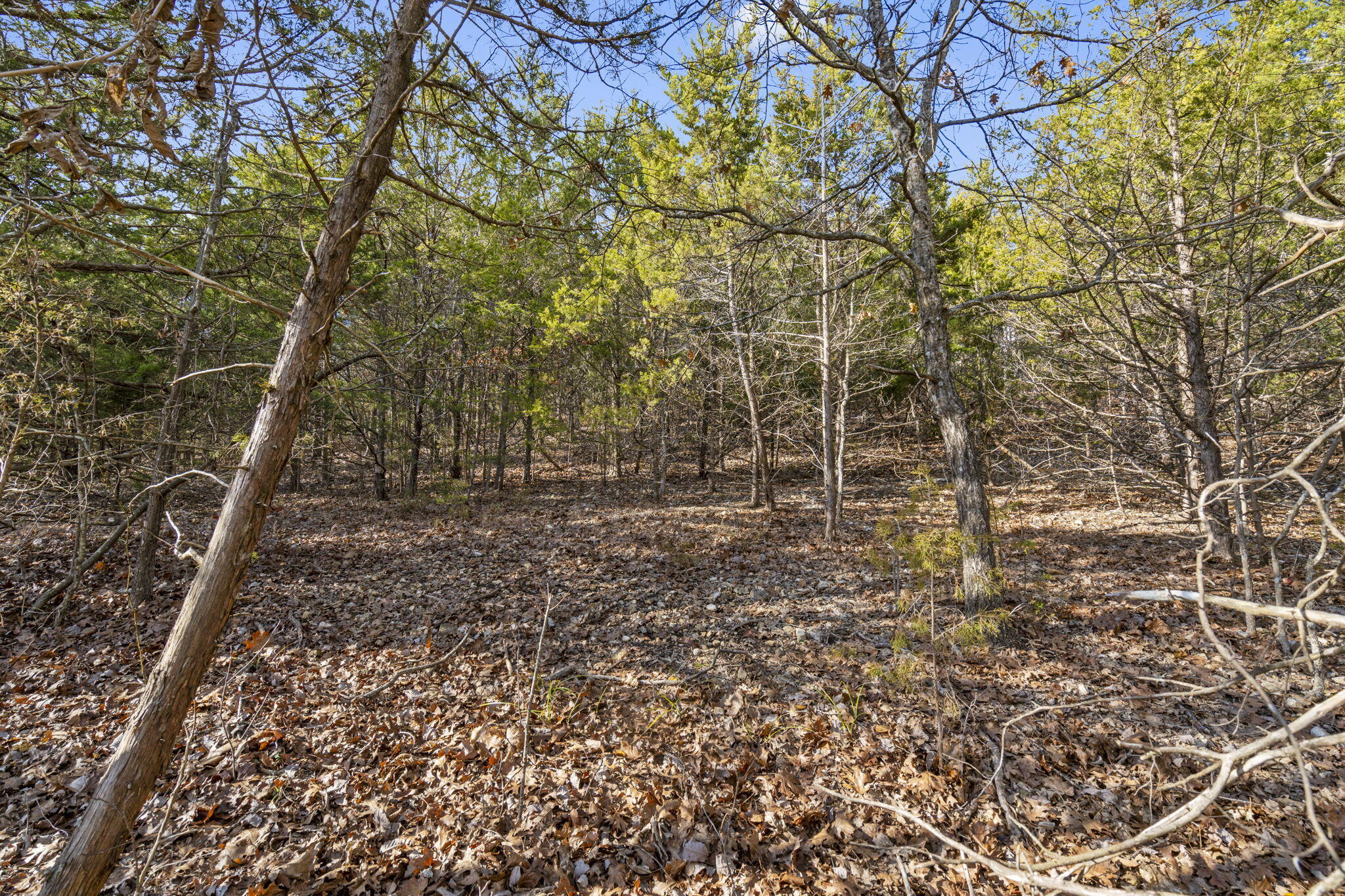 Lot 7 Elm Drive Property Photo 12