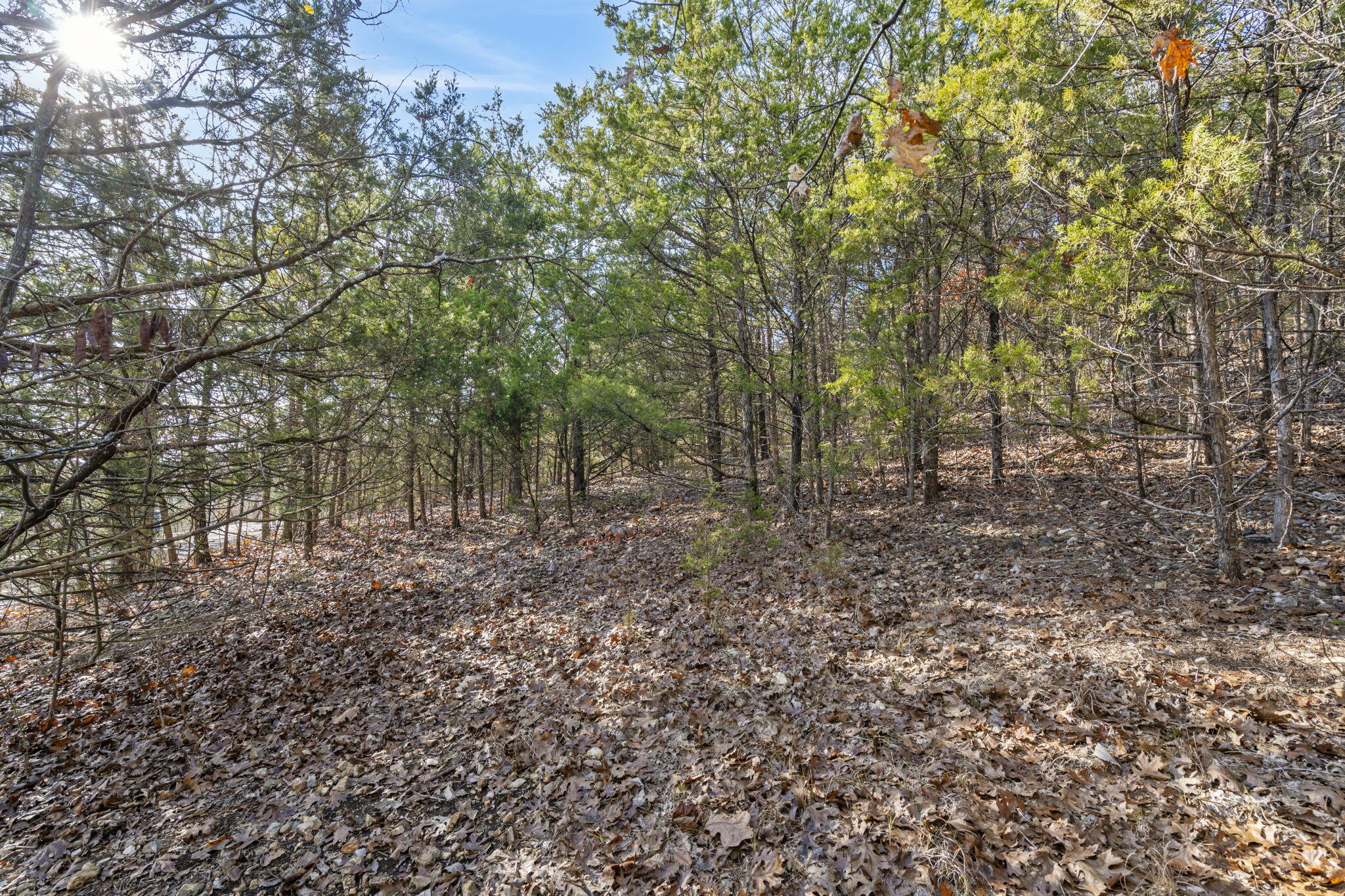 Lot 7 Elm Drive Property Photo 13